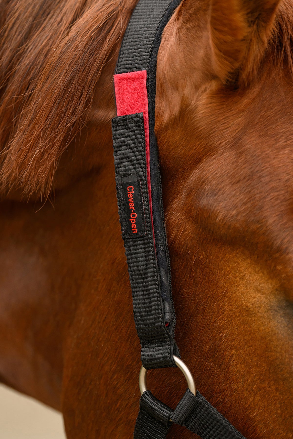 Waldhausen Clever-Open Safety Halter Halters & Leads