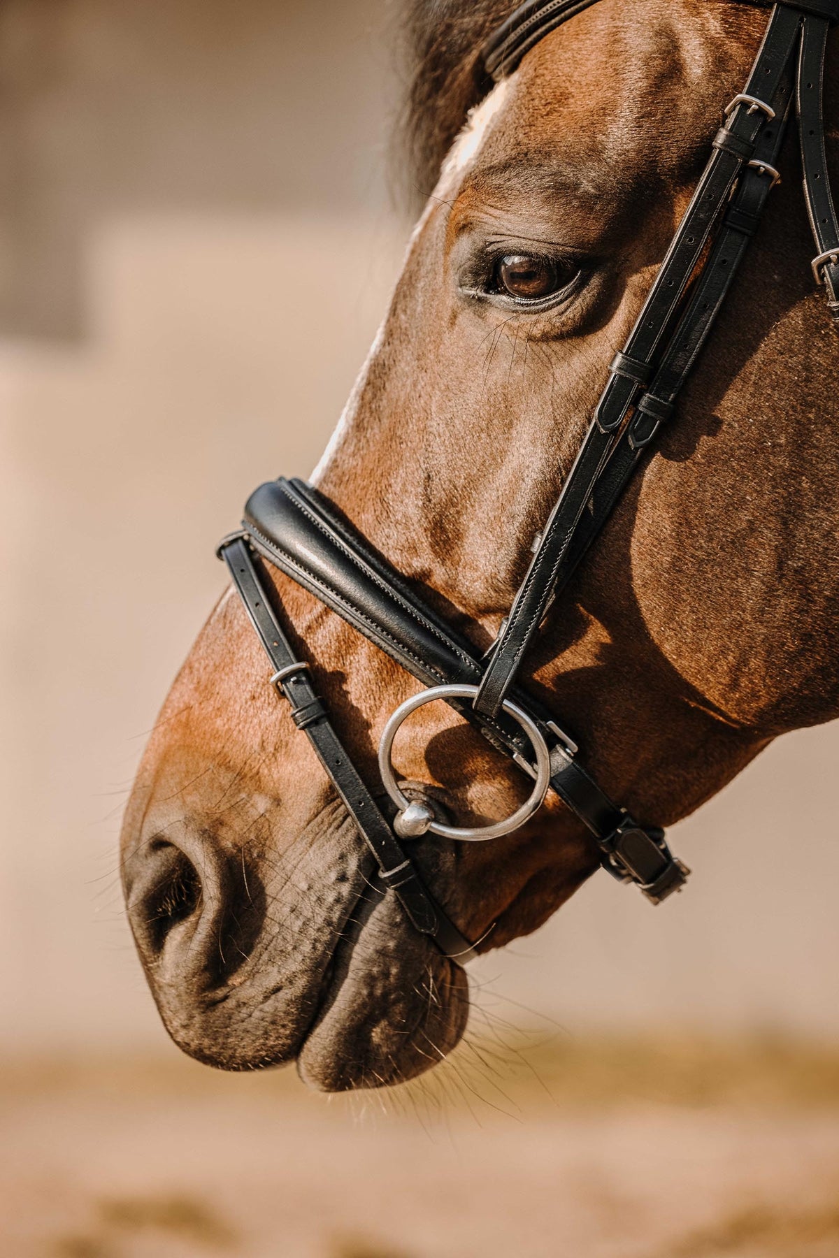 ERIC THOMAS Bat Bridle Bridles & Reins