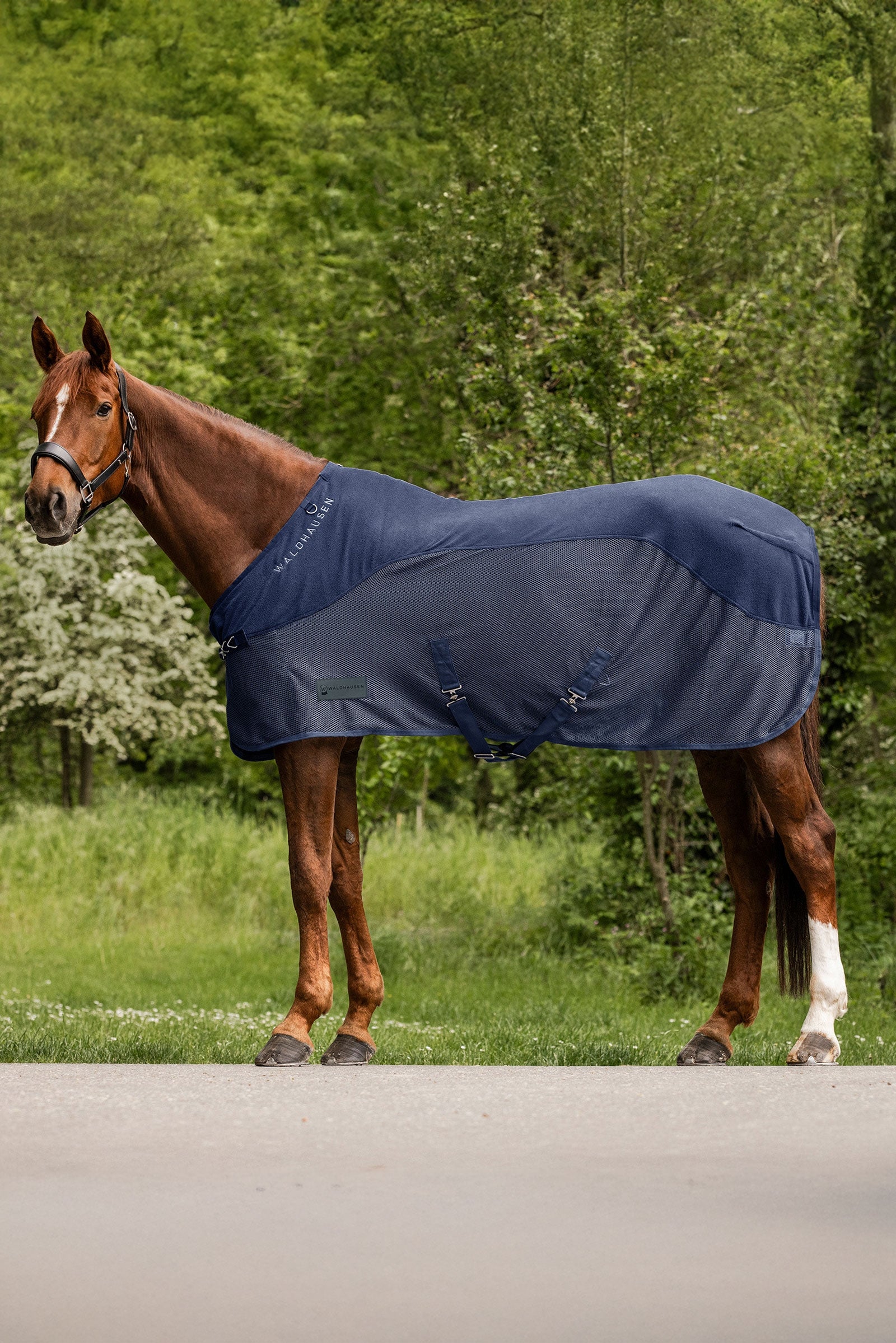 Waldhausen Comfort fleece fluedækken Hestedækken