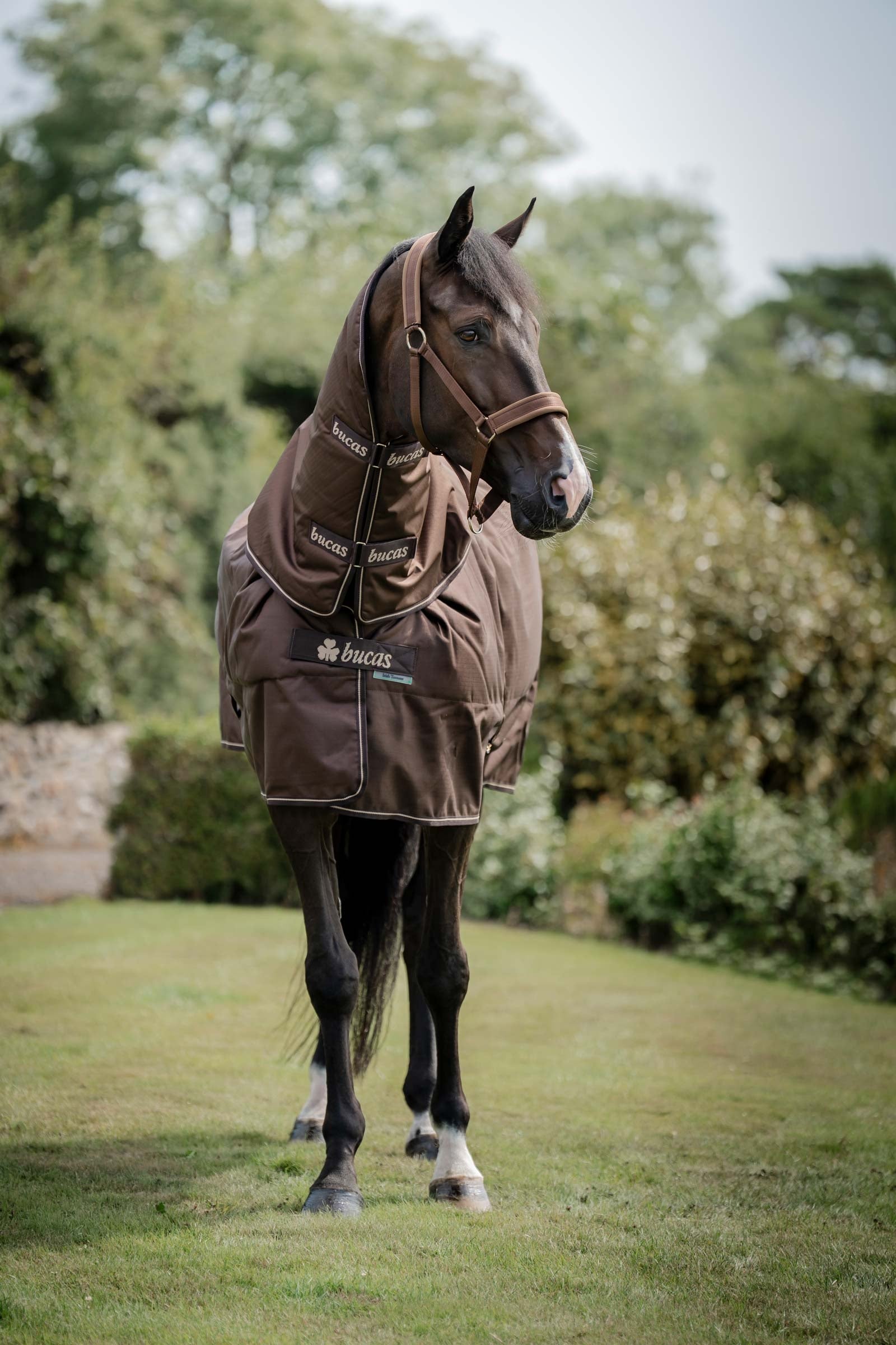 Bucas Irish Turnout 50 g Rug & Neck Hestedækken