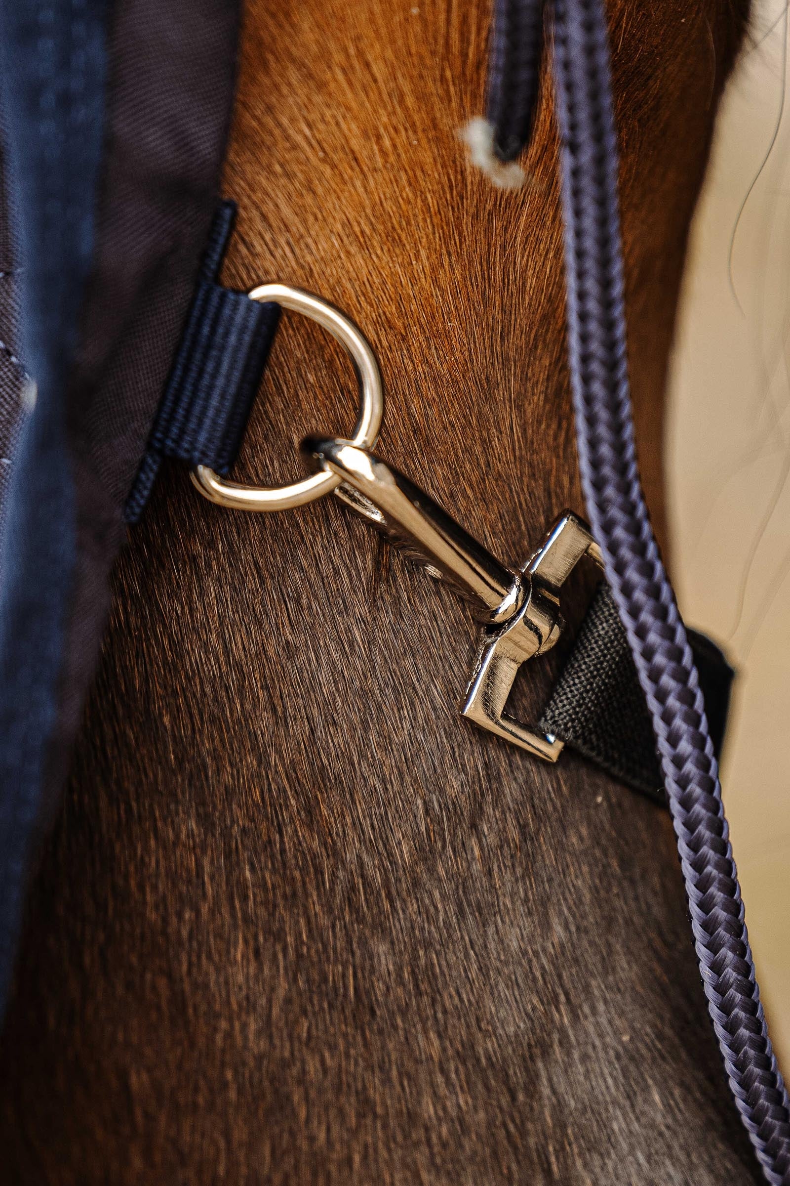 EQUITHÈME Wave Sheet Horse Rugs