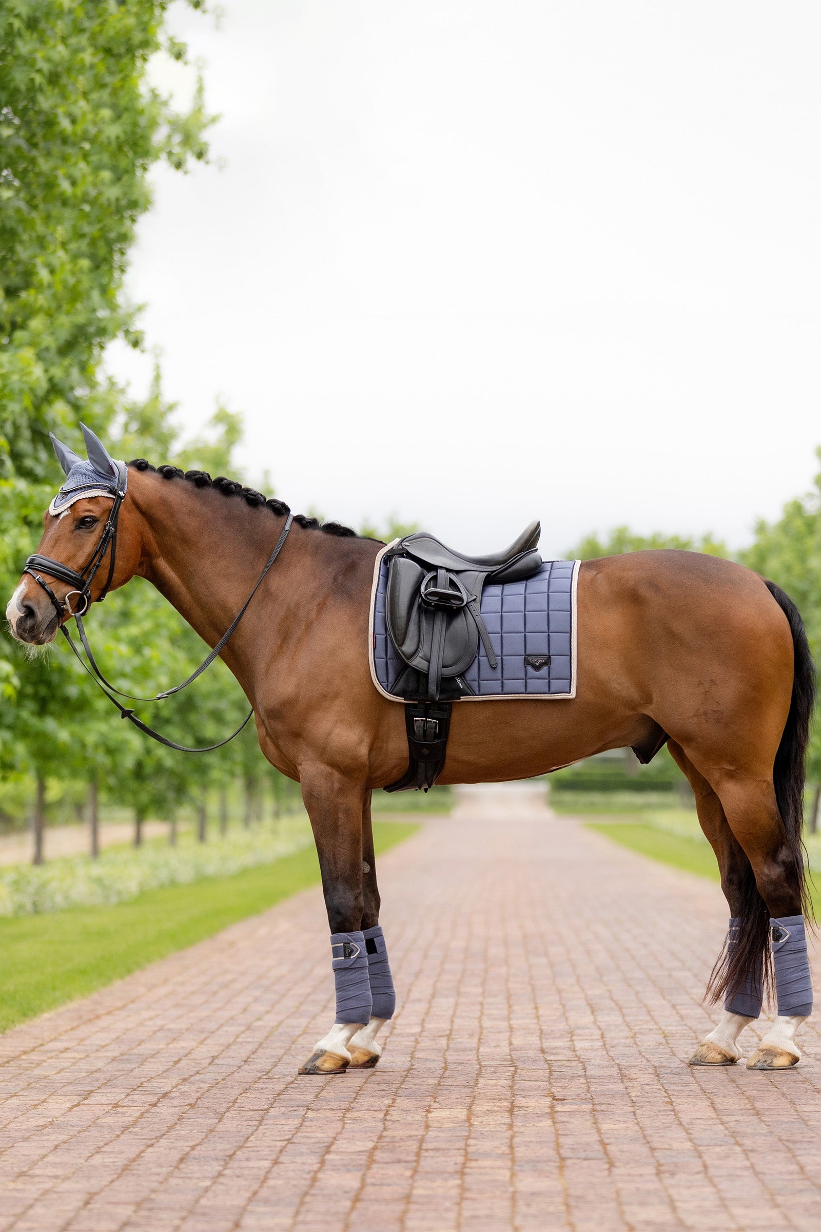 LeMieux Loire Classic Square Dressage Saddle Pad Saddle Pads