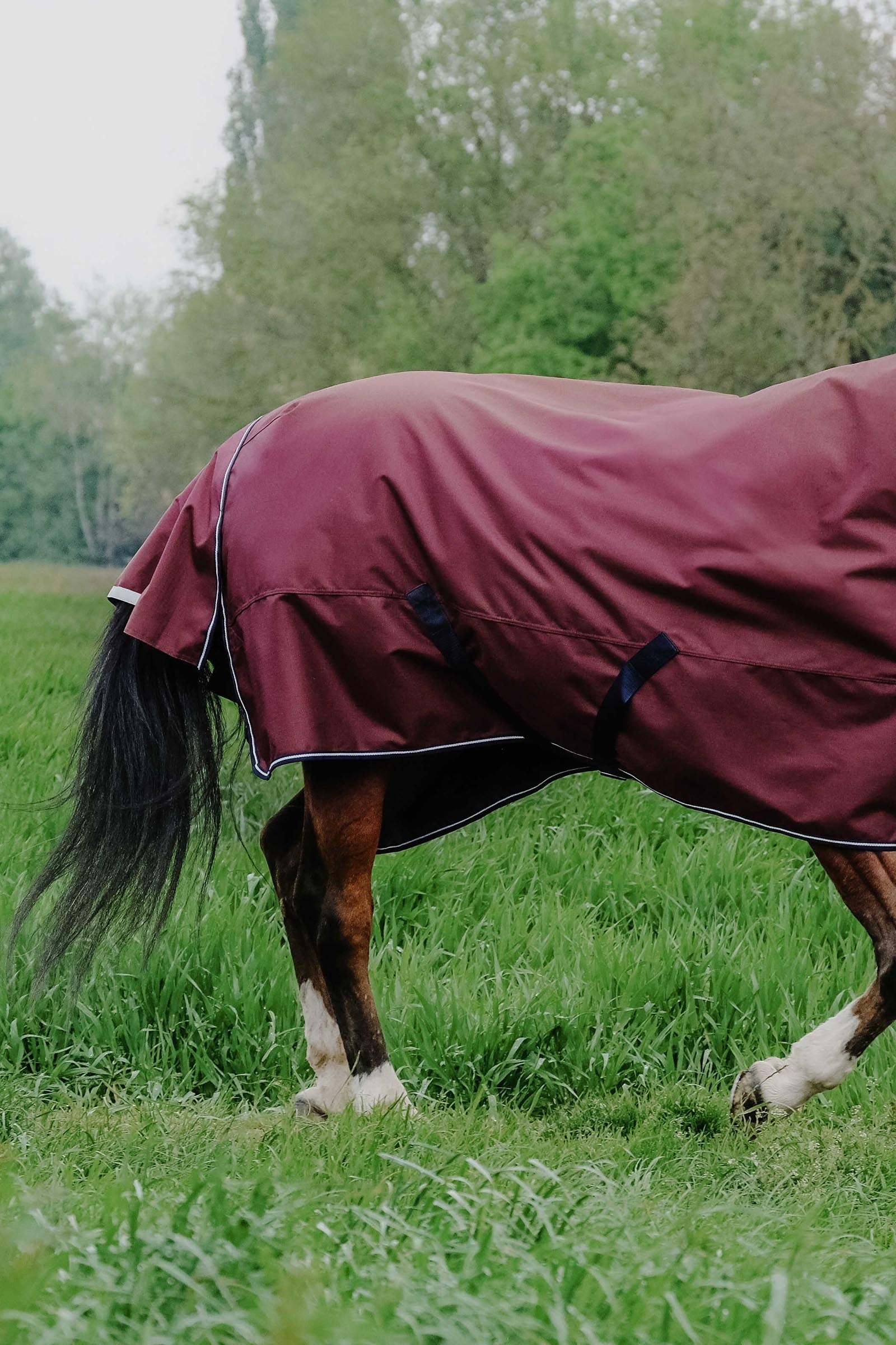 Equi Theme EQUITHÈME TYREX 1200D Combo Rug, 0 g Horse Rugs