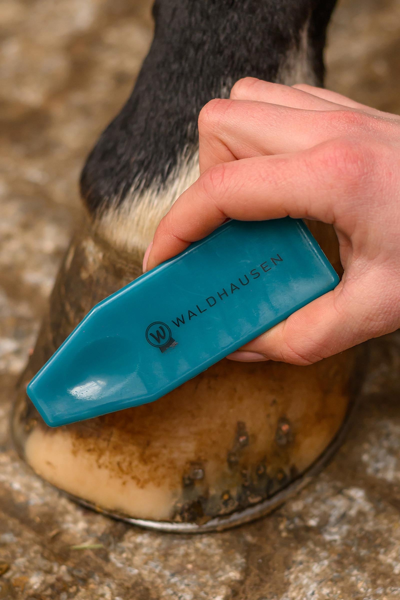 Waldhausen Rainbow Hoof Brush Horse Grooming Tools