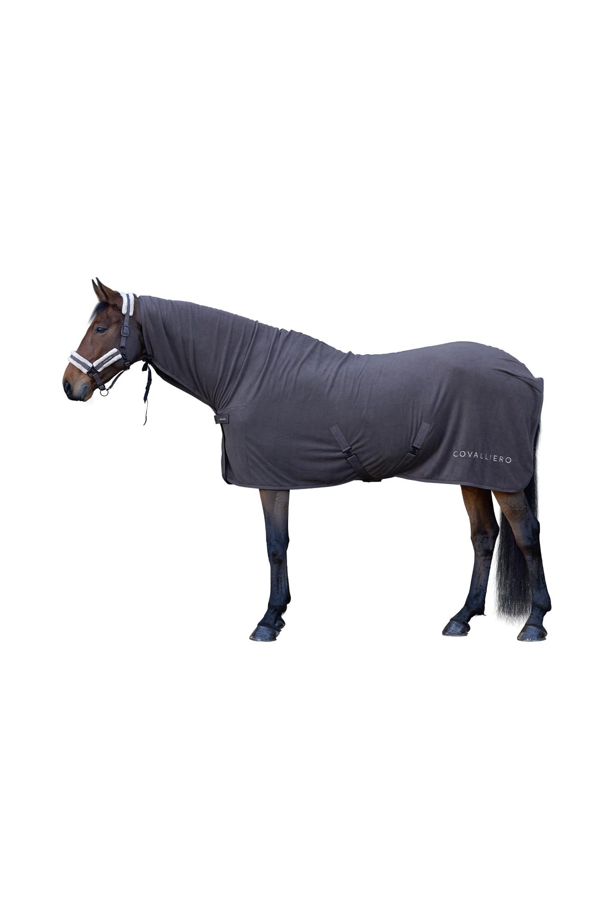 Covalliero FW26 Cooler Rug Horse Rugs