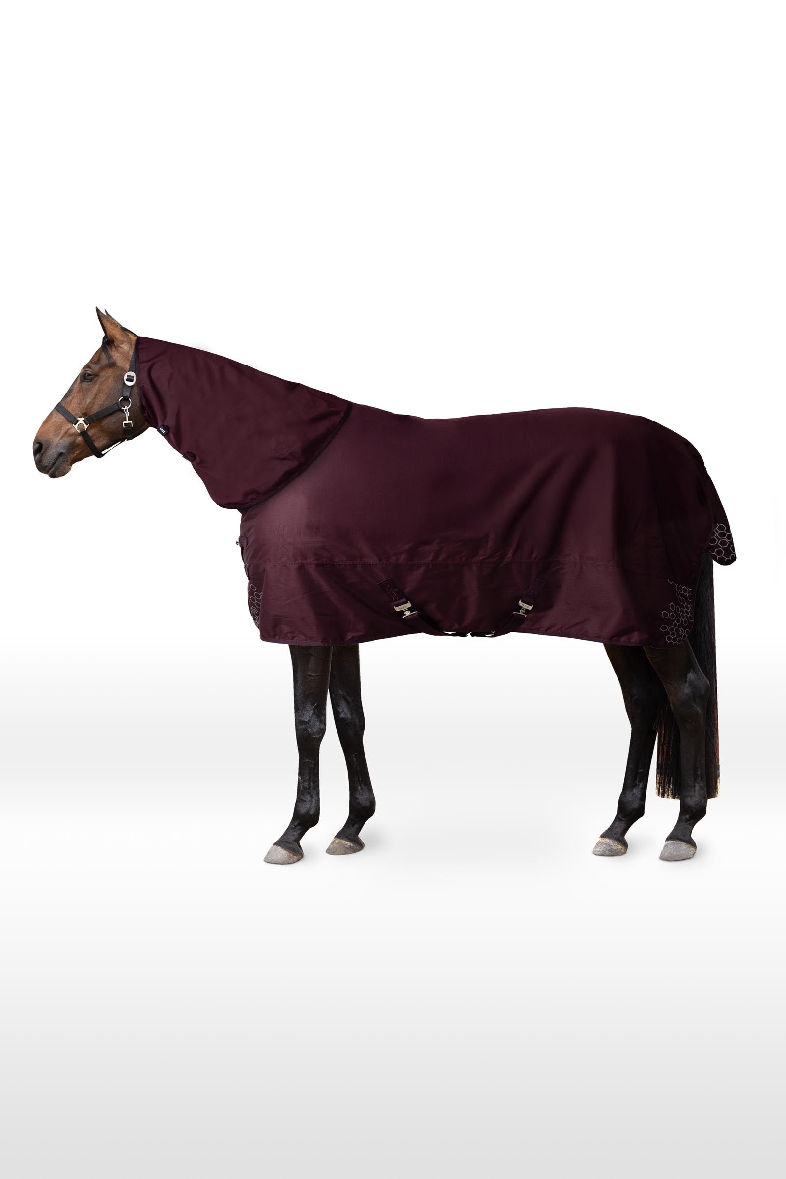 Horze Newbridge Turnout Rug, 100g Horse Rugs