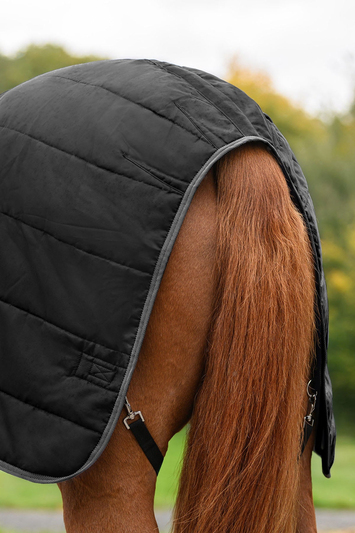 Waldhausen ECONOMIC 420D Stable Rug, 300 g Horse Rugs