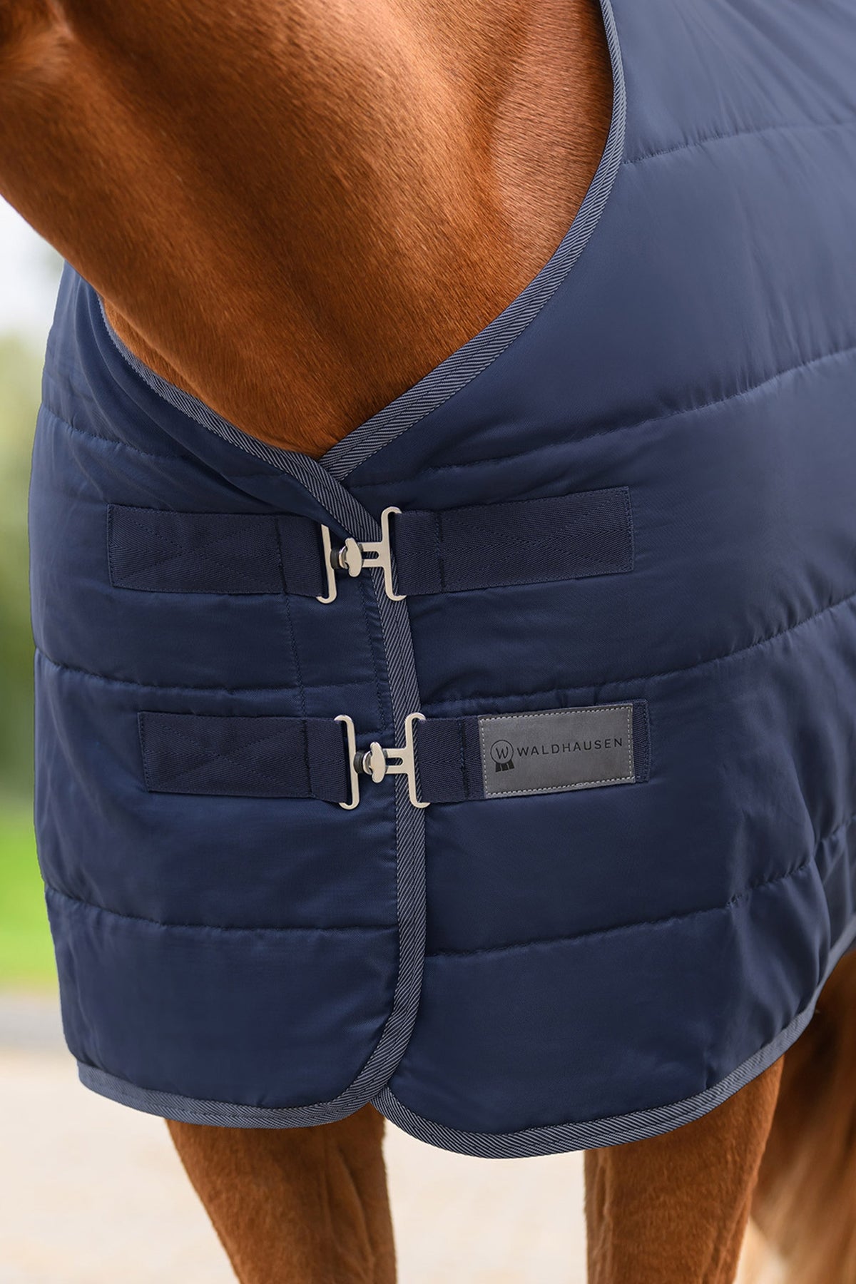 Waldhausen ECONOMIC 420D Stable Rug, 300 g Horse Rugs
