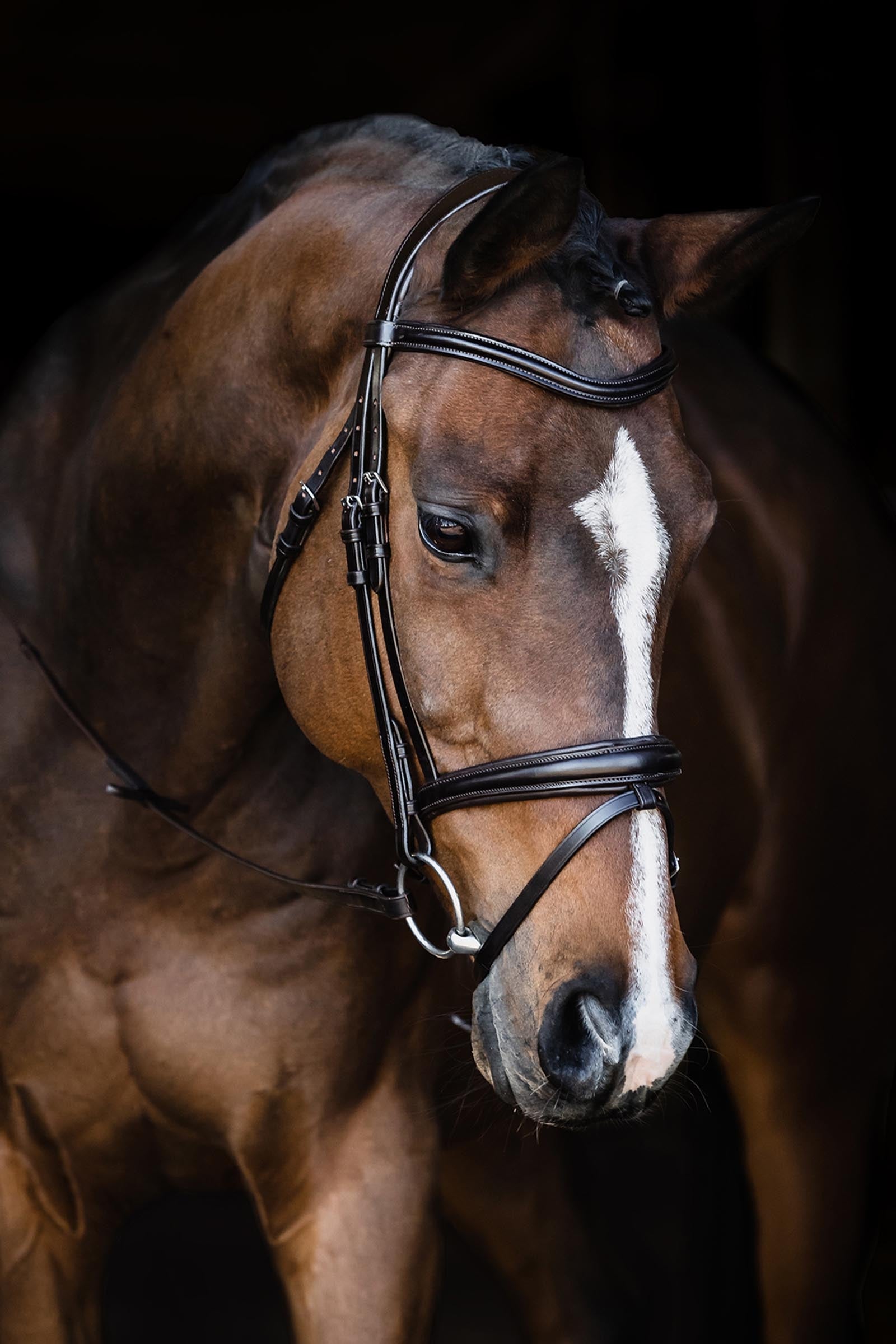 Schockemöhle Sports Schockemoehle Sports SP Monza Bridle Bridles & Reins