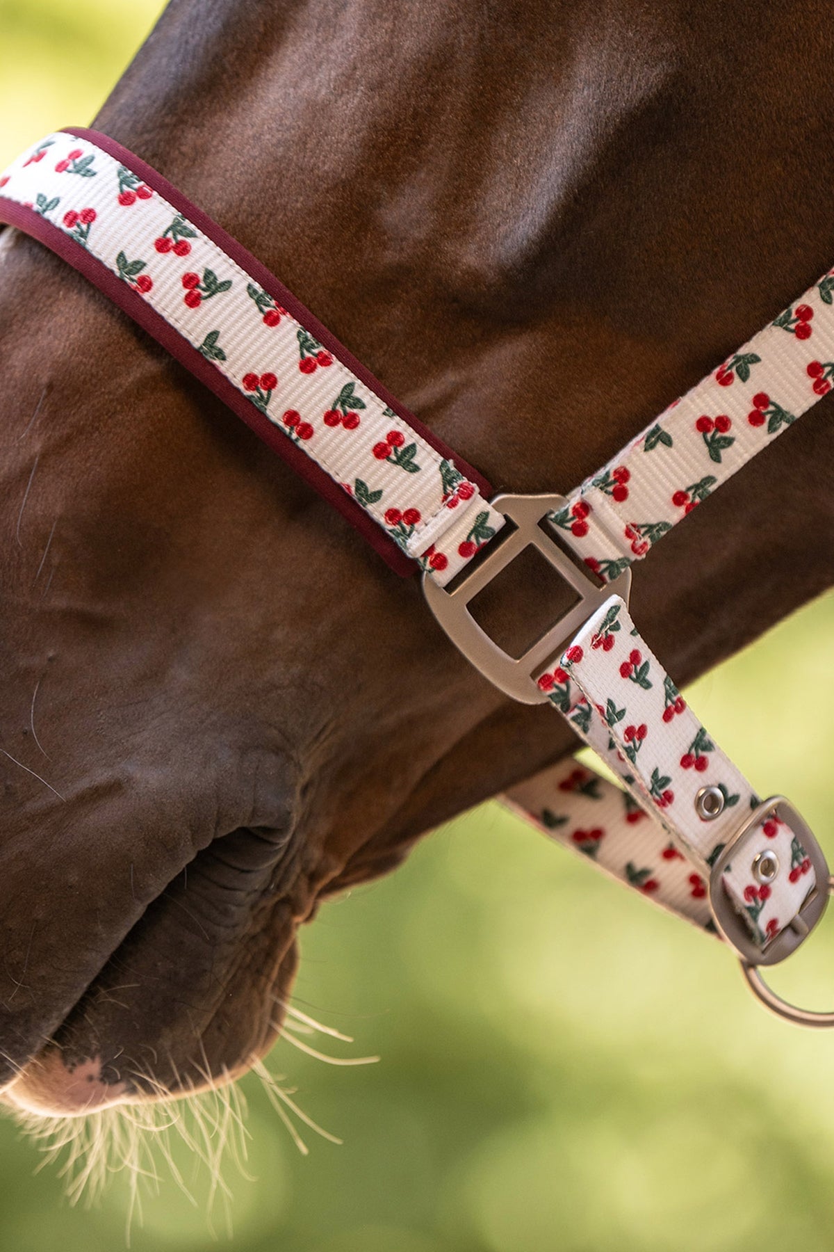Waldhausen Cherry Halter Halters & Leads