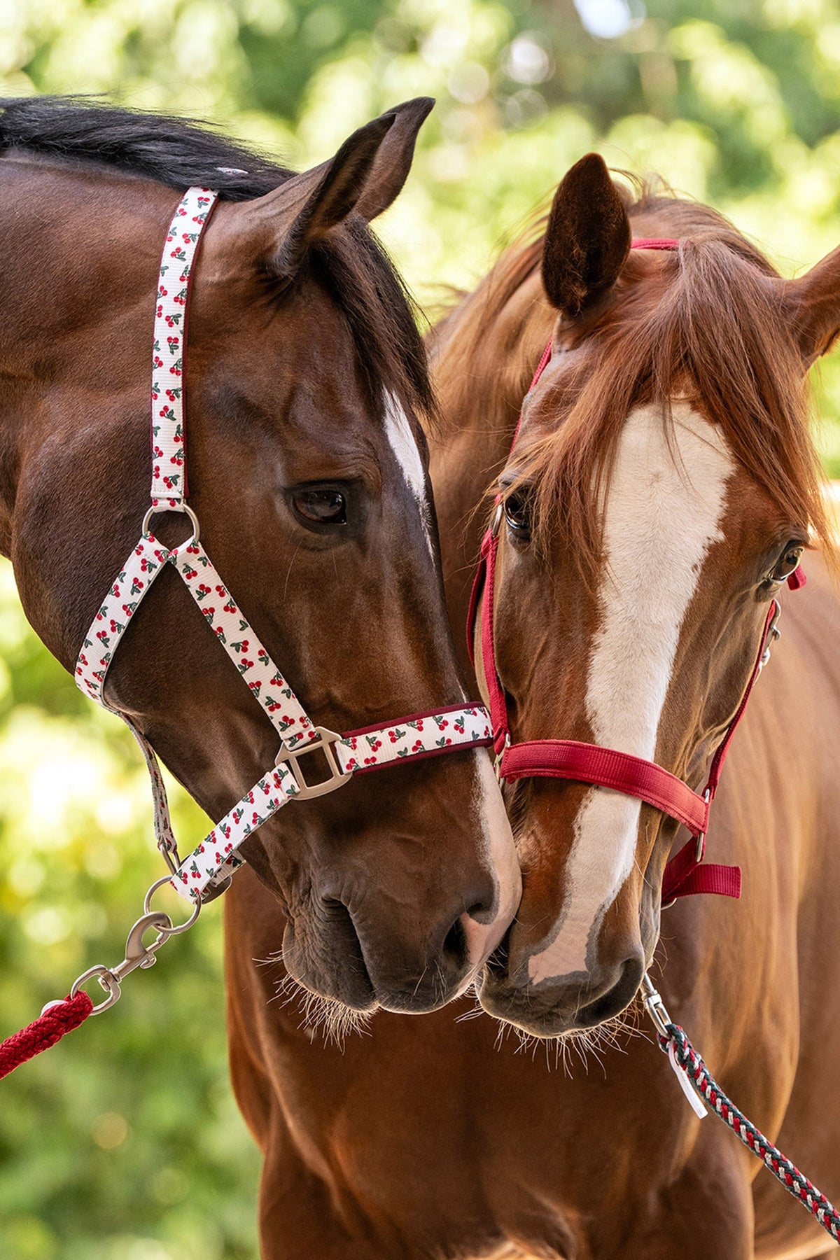 Waldhausen Cherry Halter Halters & Leads
