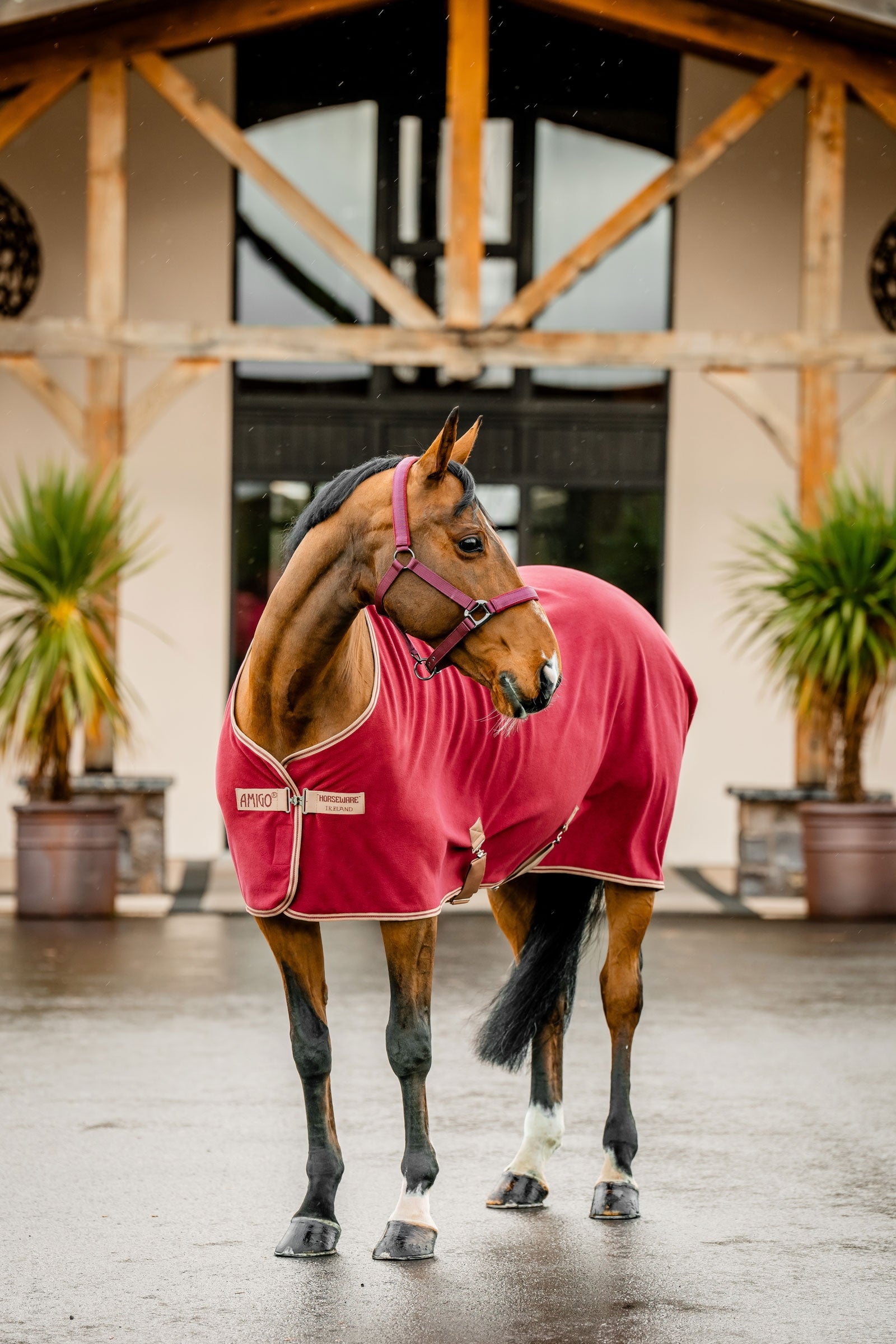 Horseware Amigo Fleece Cooler Hestedækken