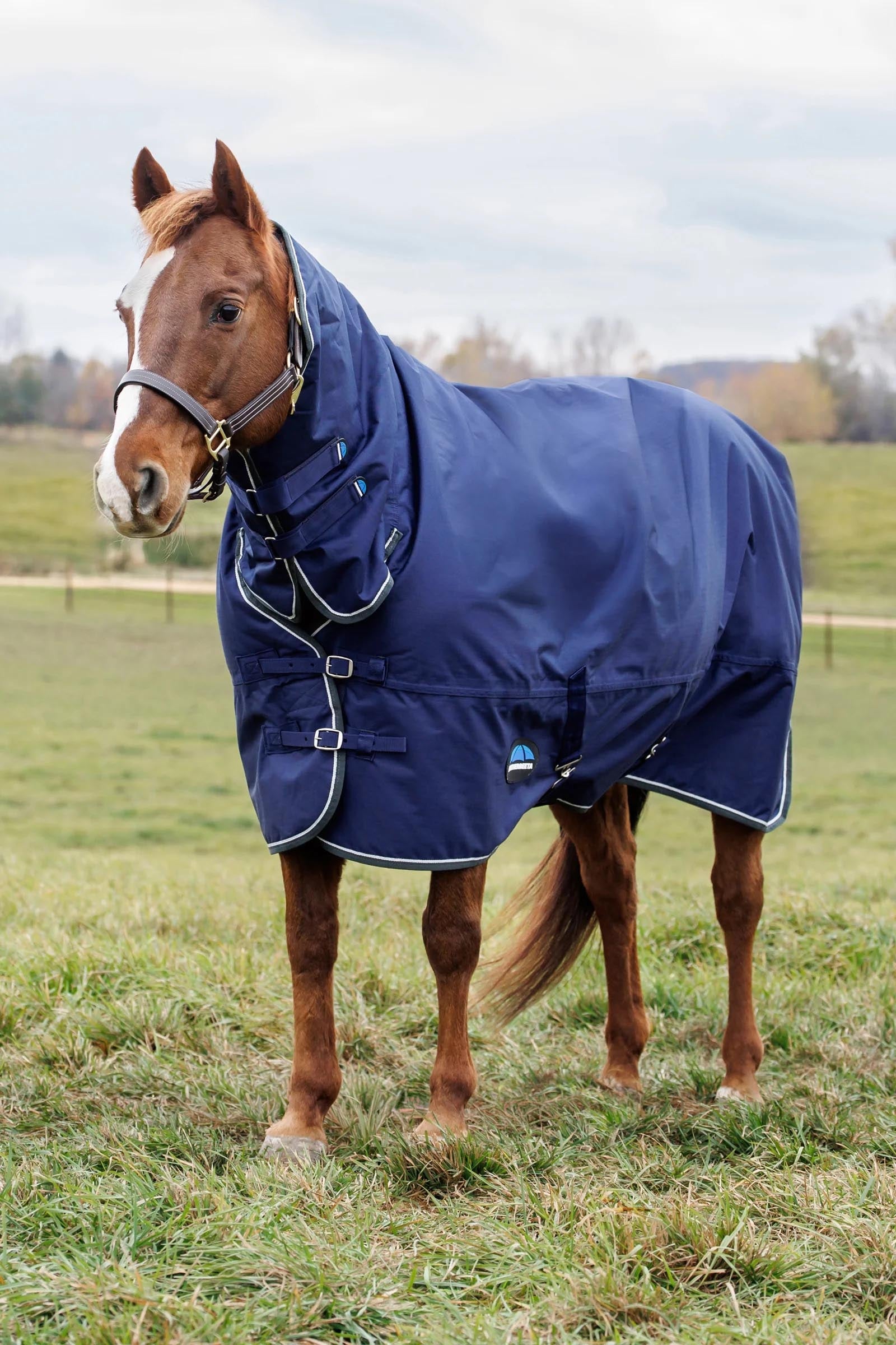 Weatherbeeta Comfitec Tyro Turnout Rug Combo Neck 220g Horse Rugs