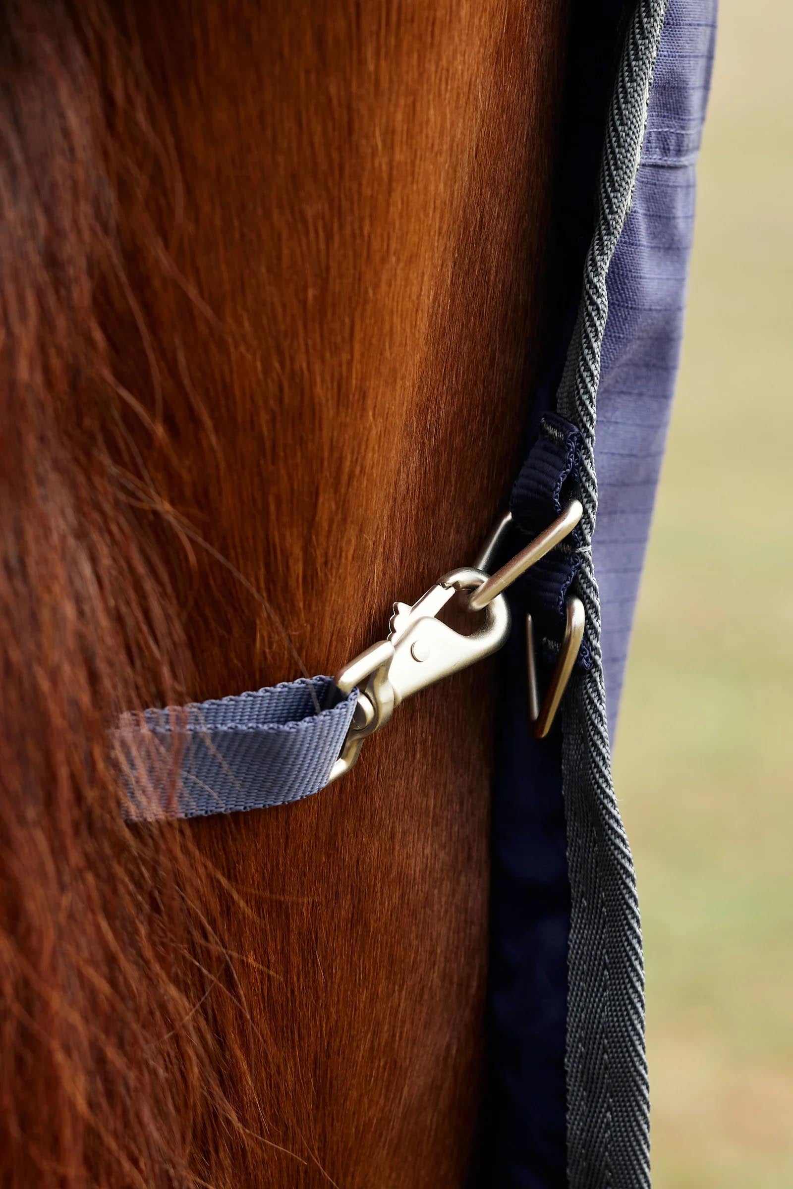 Weatherbeeta Comfitec Tyro Turnout Rug Combo Neck 220g Horse Rugs