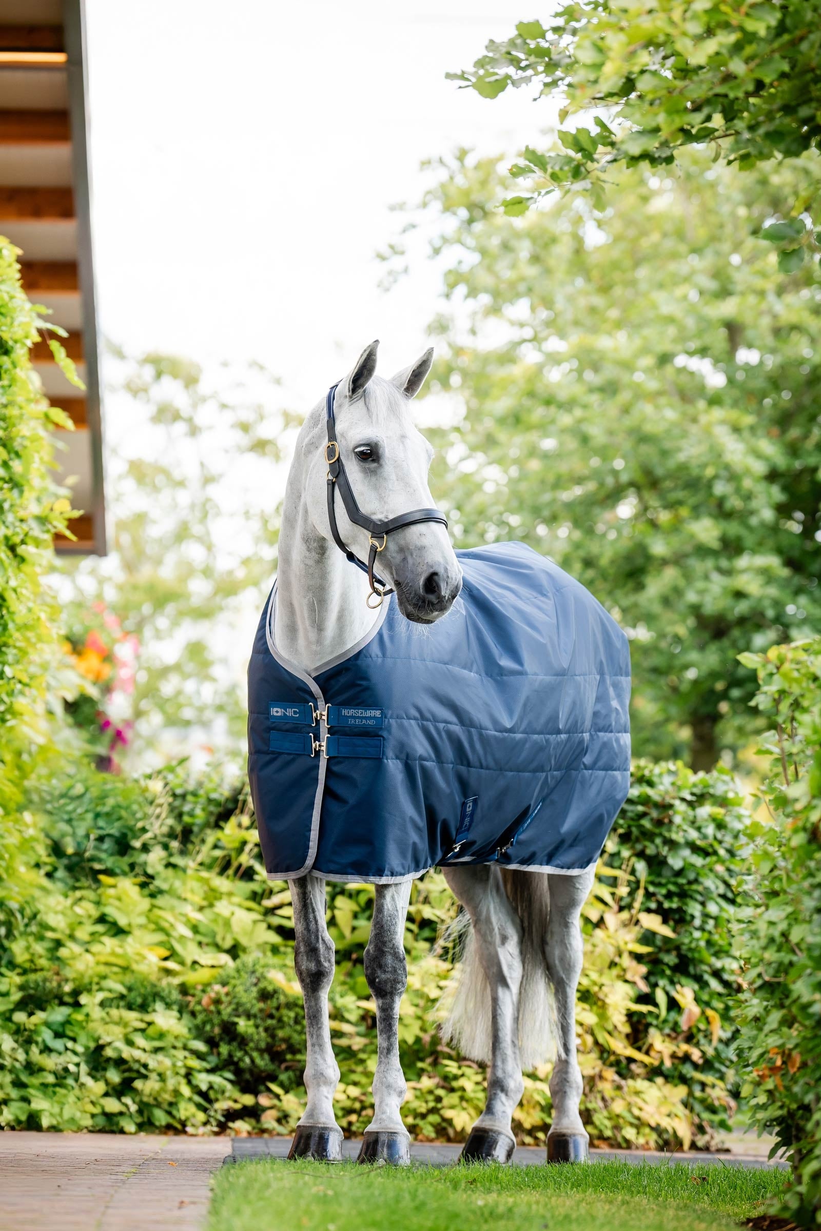 Horseware Ionic Therapy Stalddækken, 50g Hestedækken