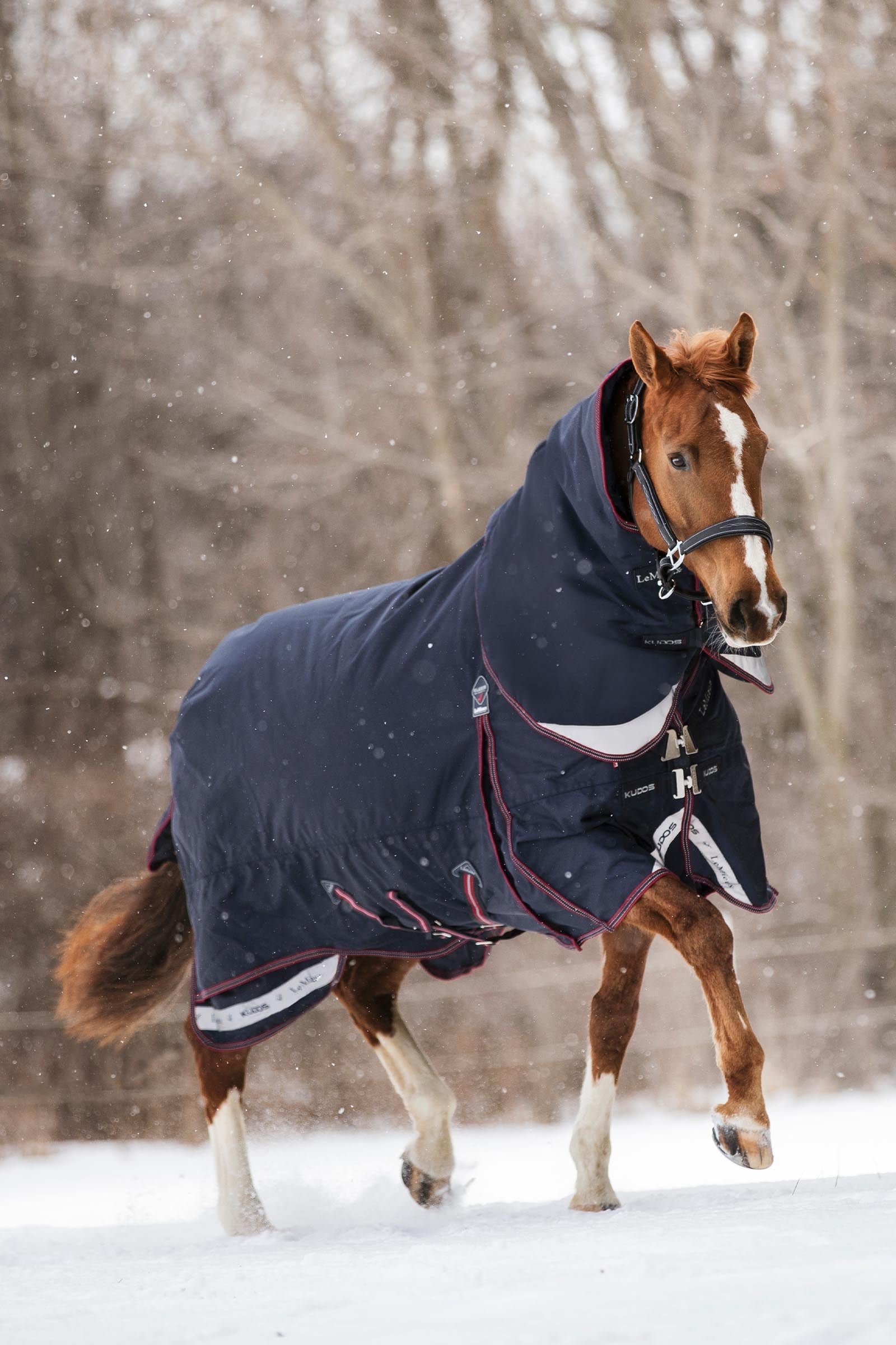LeMieux Kudos Turnout Rug, 200 g Hestedækken