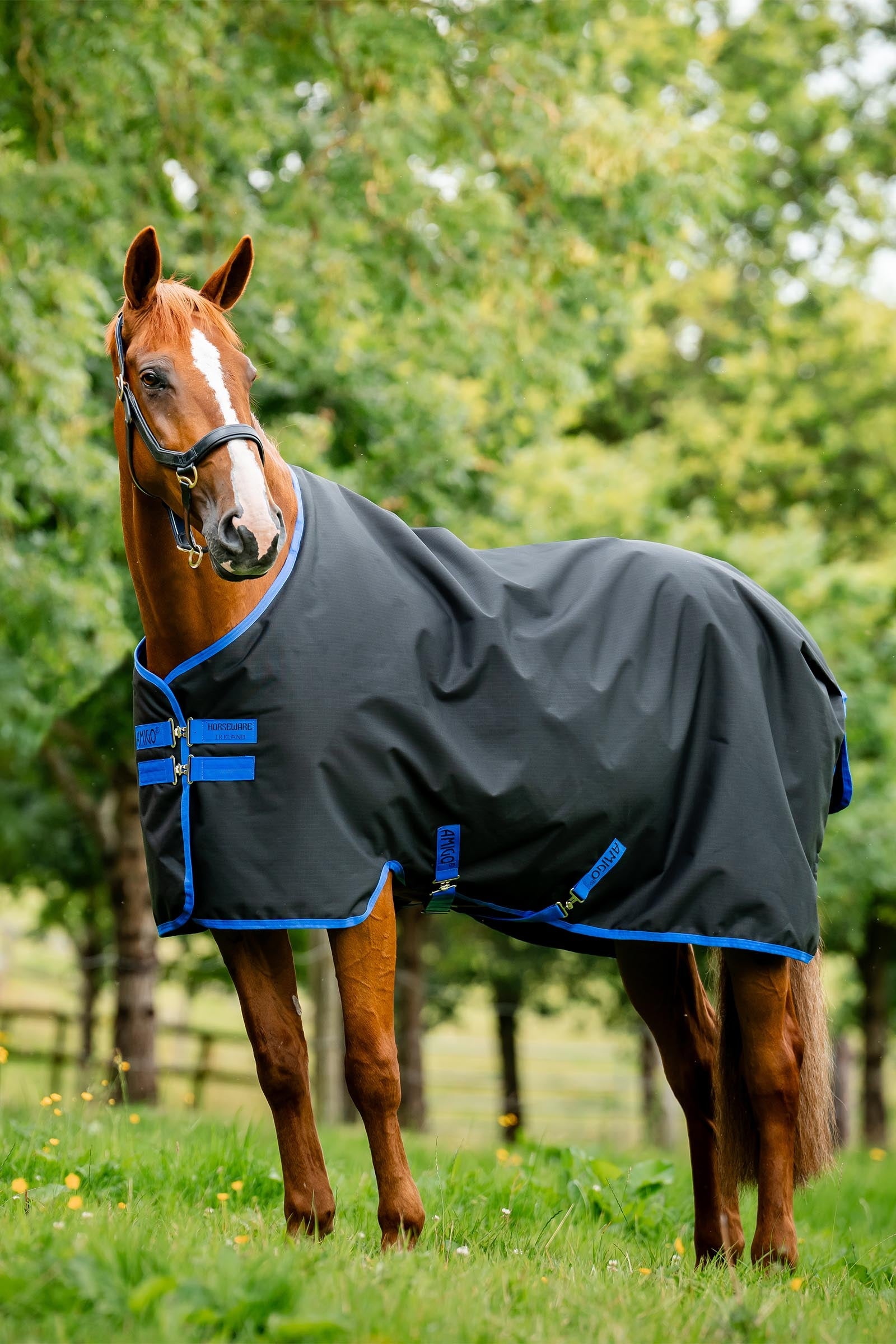 Horseware Amigo Ripstop 900D udedækken med fleecefor, 50 g Hestedækken