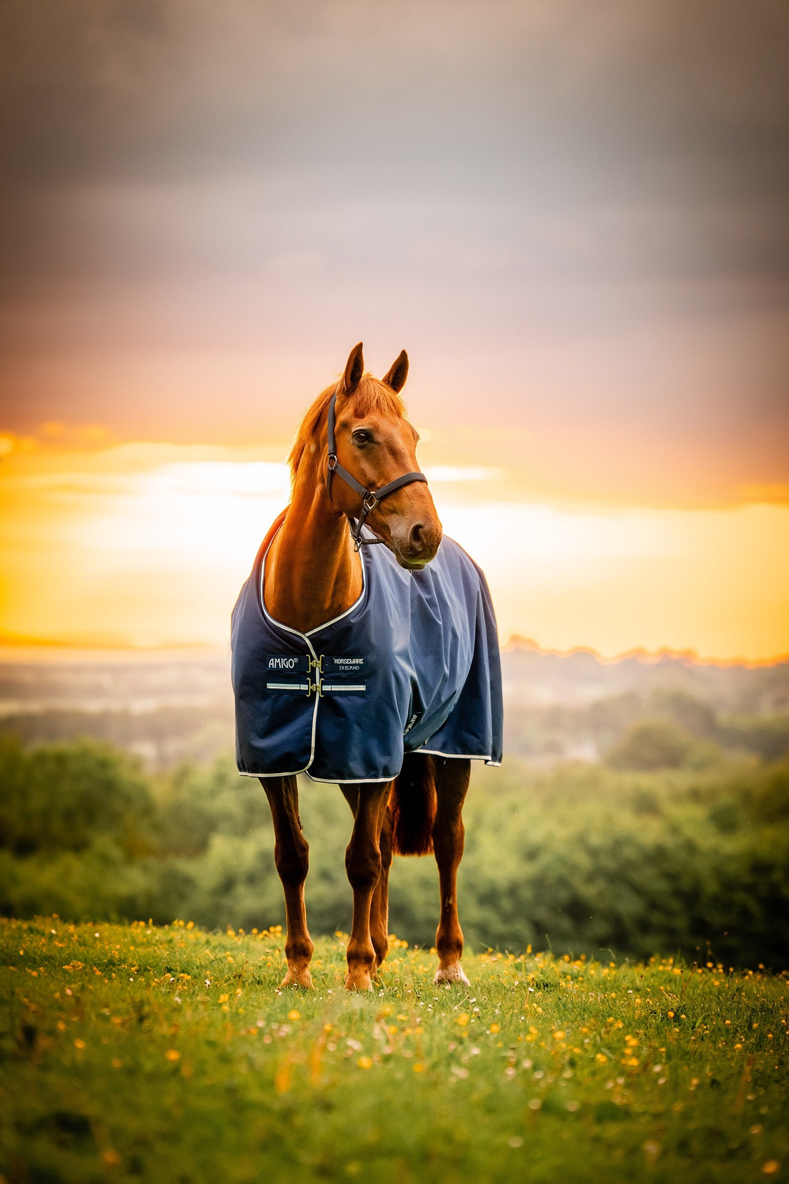 Horseware Amigo Ripstop 900D udedækken med fleecefor, 50 g Hestedækken