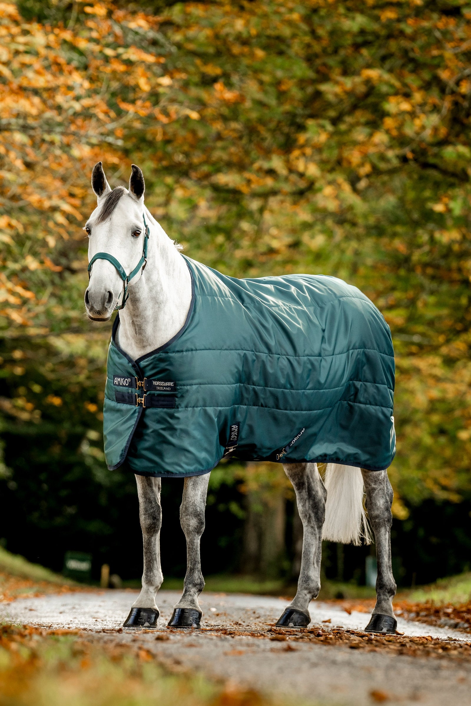 Horseware Amigo Ripstop Insulator Stalddækken, 50g Hestedækken