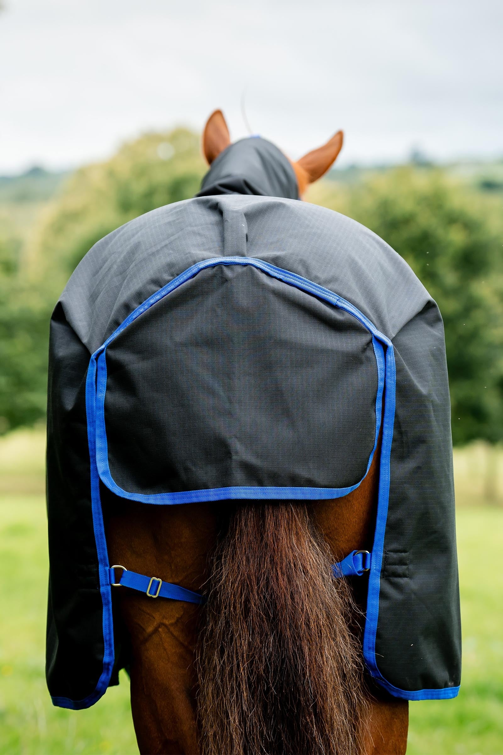 Horseware Amigo Ripstop 900D Plus Turnout, 200g Horse Rugs