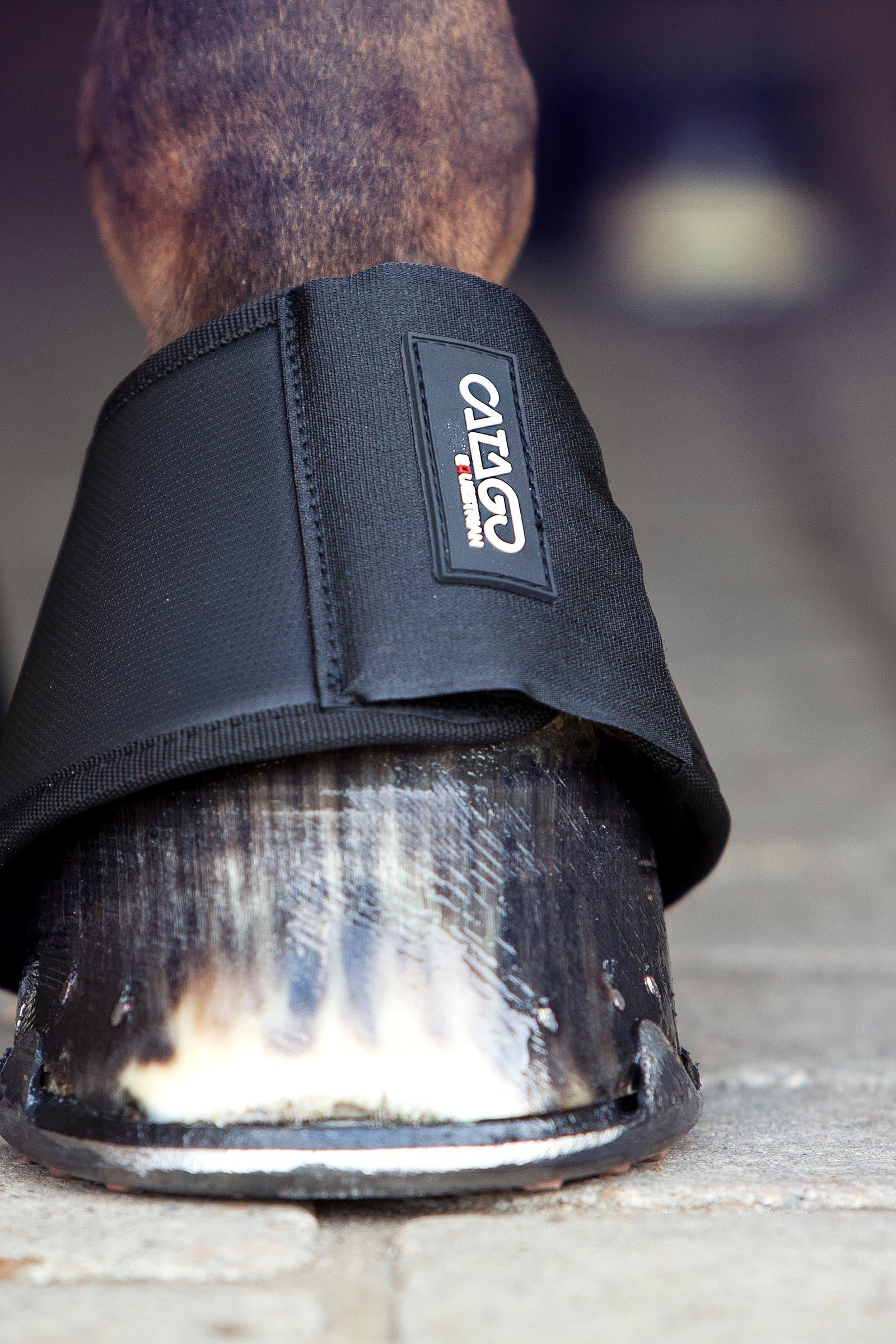 Catago Premium Bell Boots Leg Protection & Hoof Protection for Horses