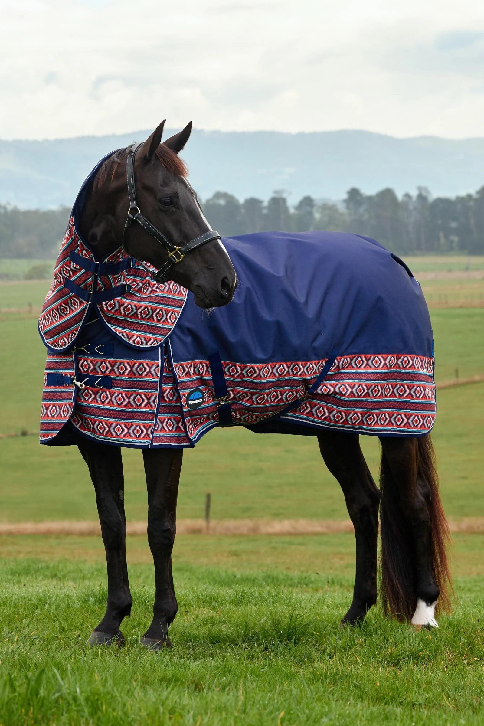 Weatherbeeta Comfitec Legend Turnout Rug Detach-A-Neck 220g Horse Rugs