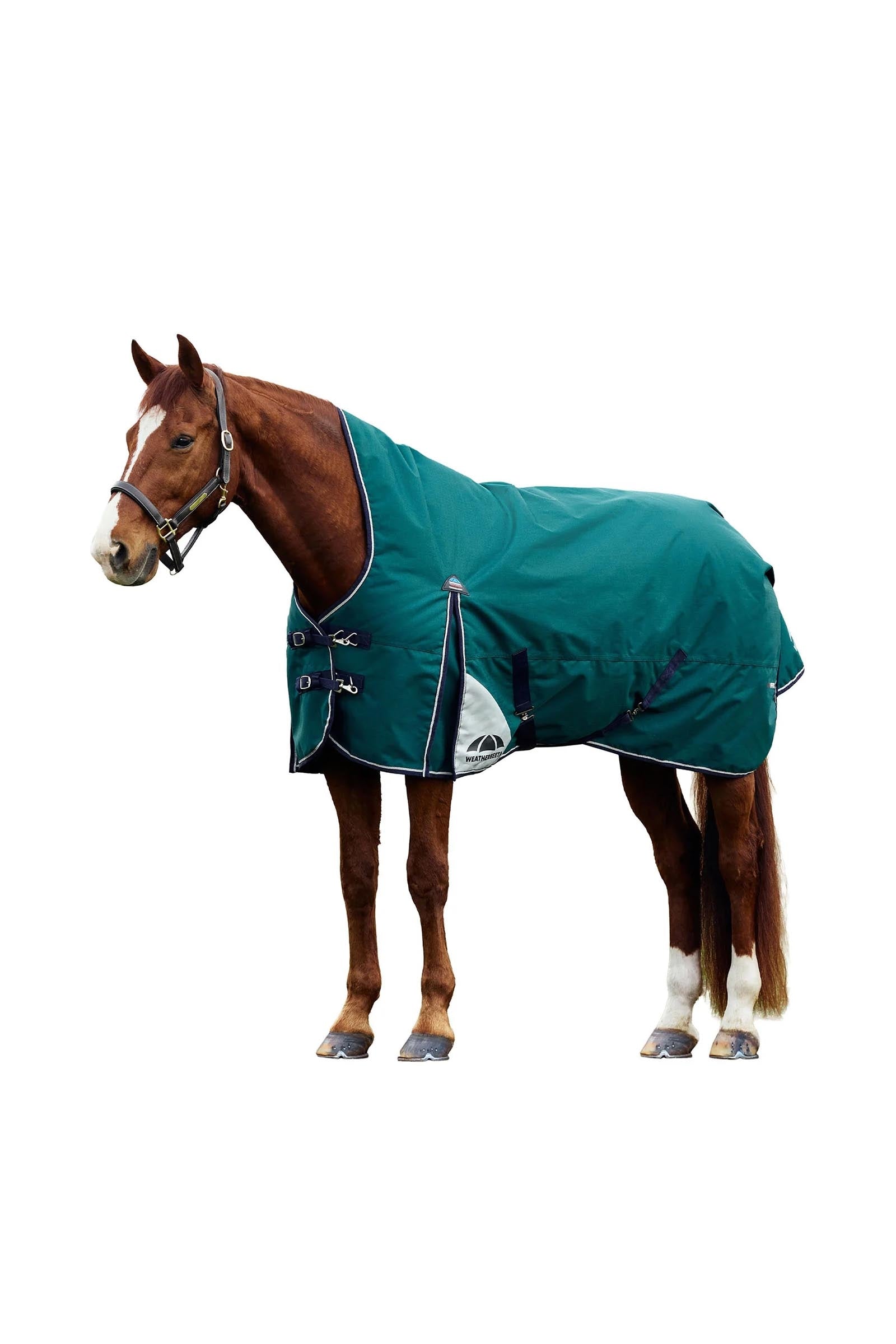 Weatherbeeta ComFiTecPlus Dynamic Turnout High Neck 100G Horse Rugs