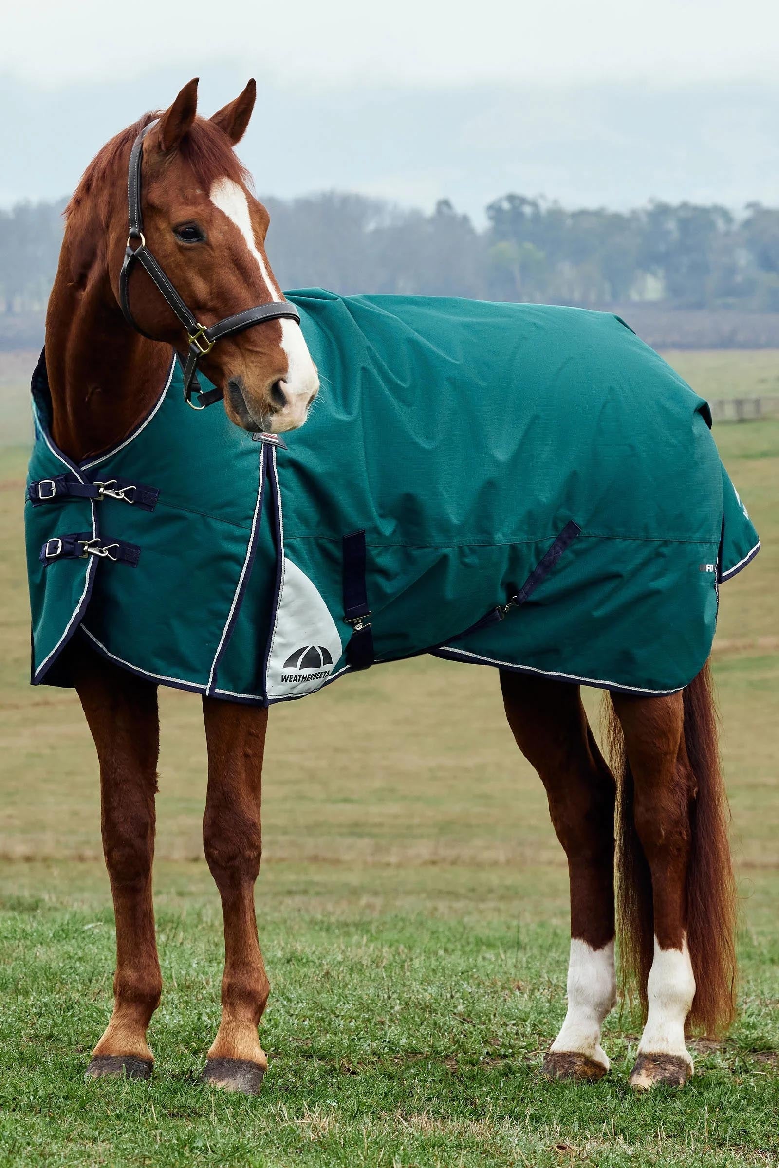 Weatherbeeta ComFiTecPlus Dynamic Turnout High Neck 100G Horse Rugs