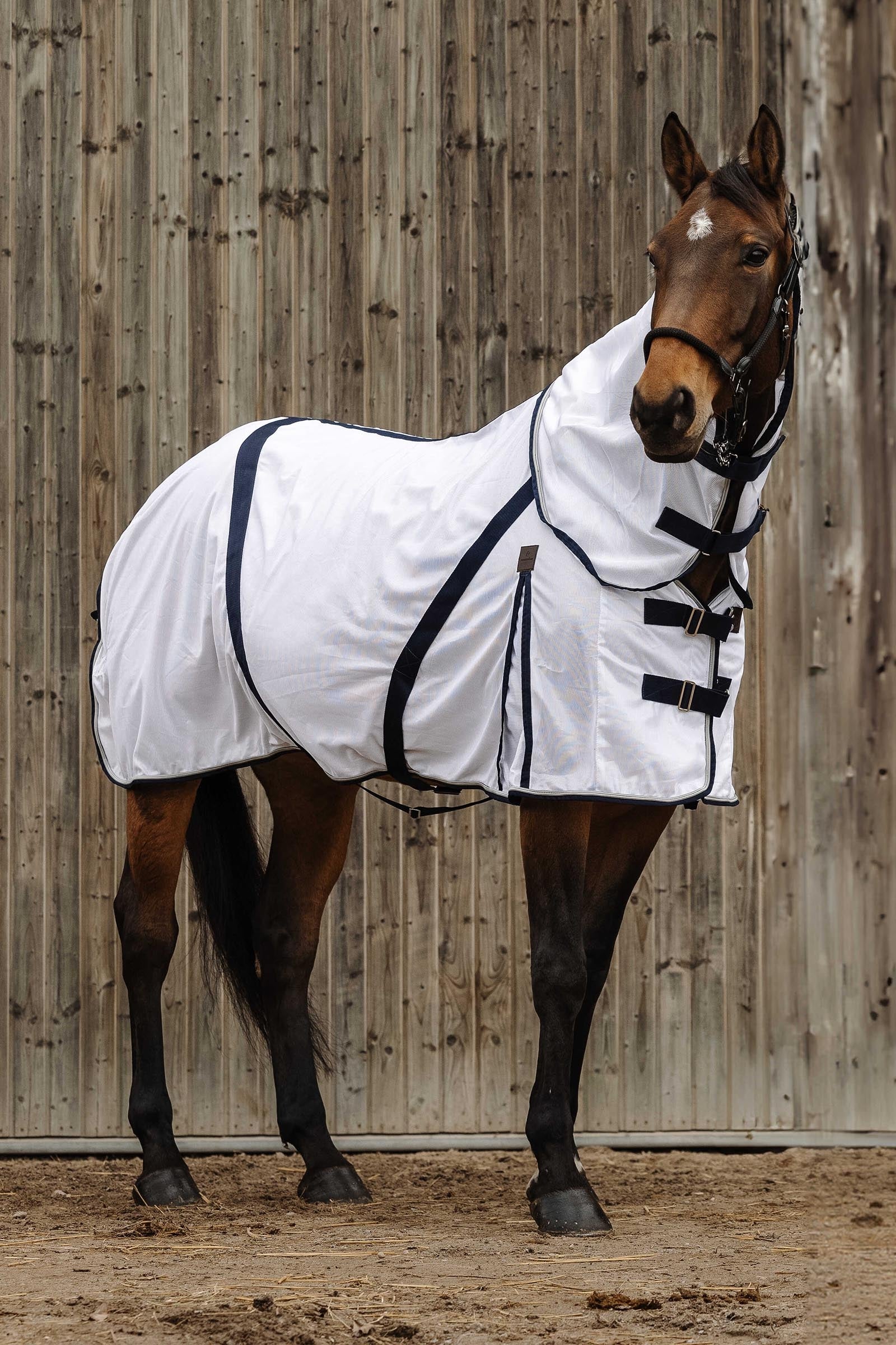Equi Theme EQUITHÈME Mesh Anti-Insect Sheet Horse Rugs