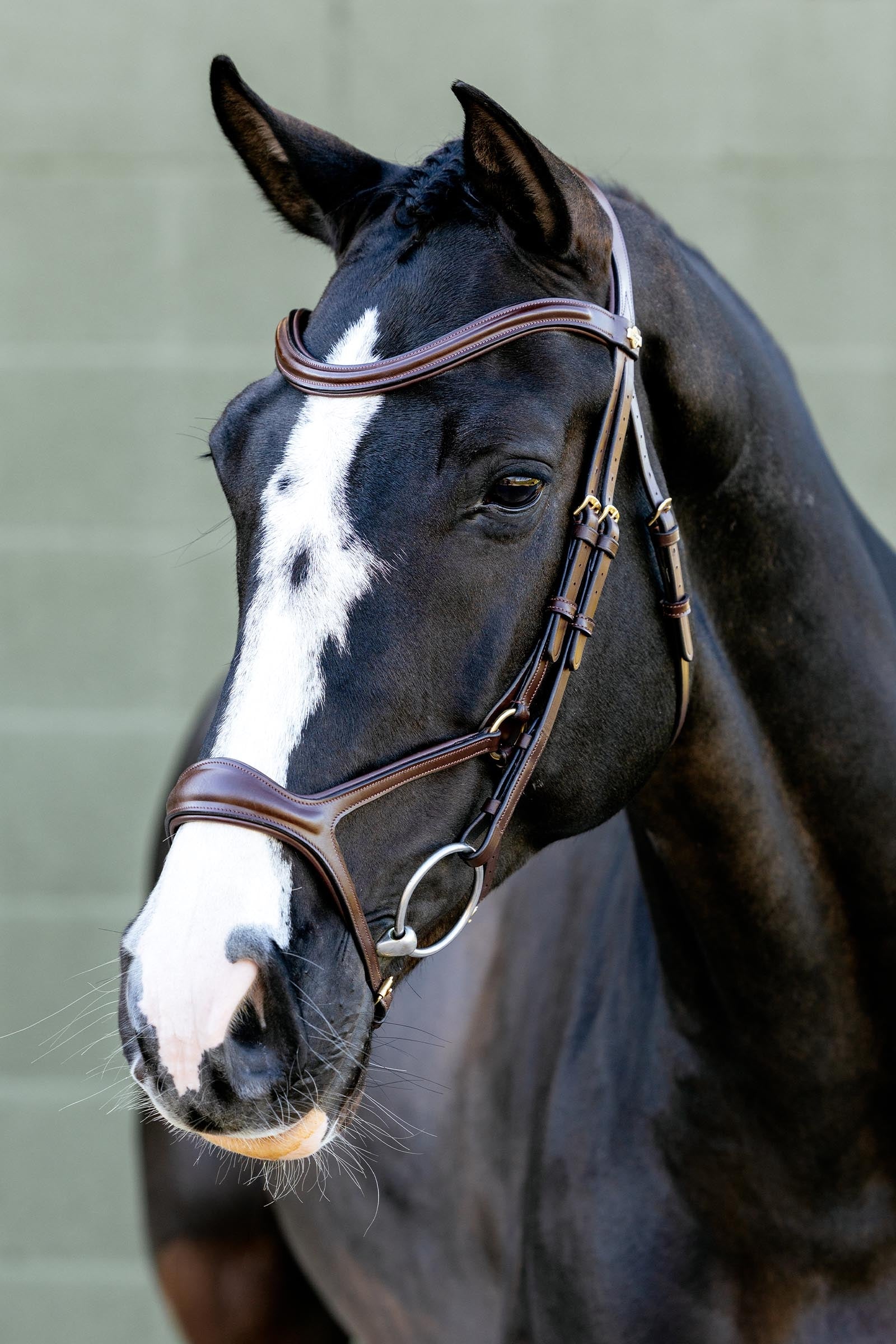 LeMieux Kudos Sport Bridle Bridles & Reins