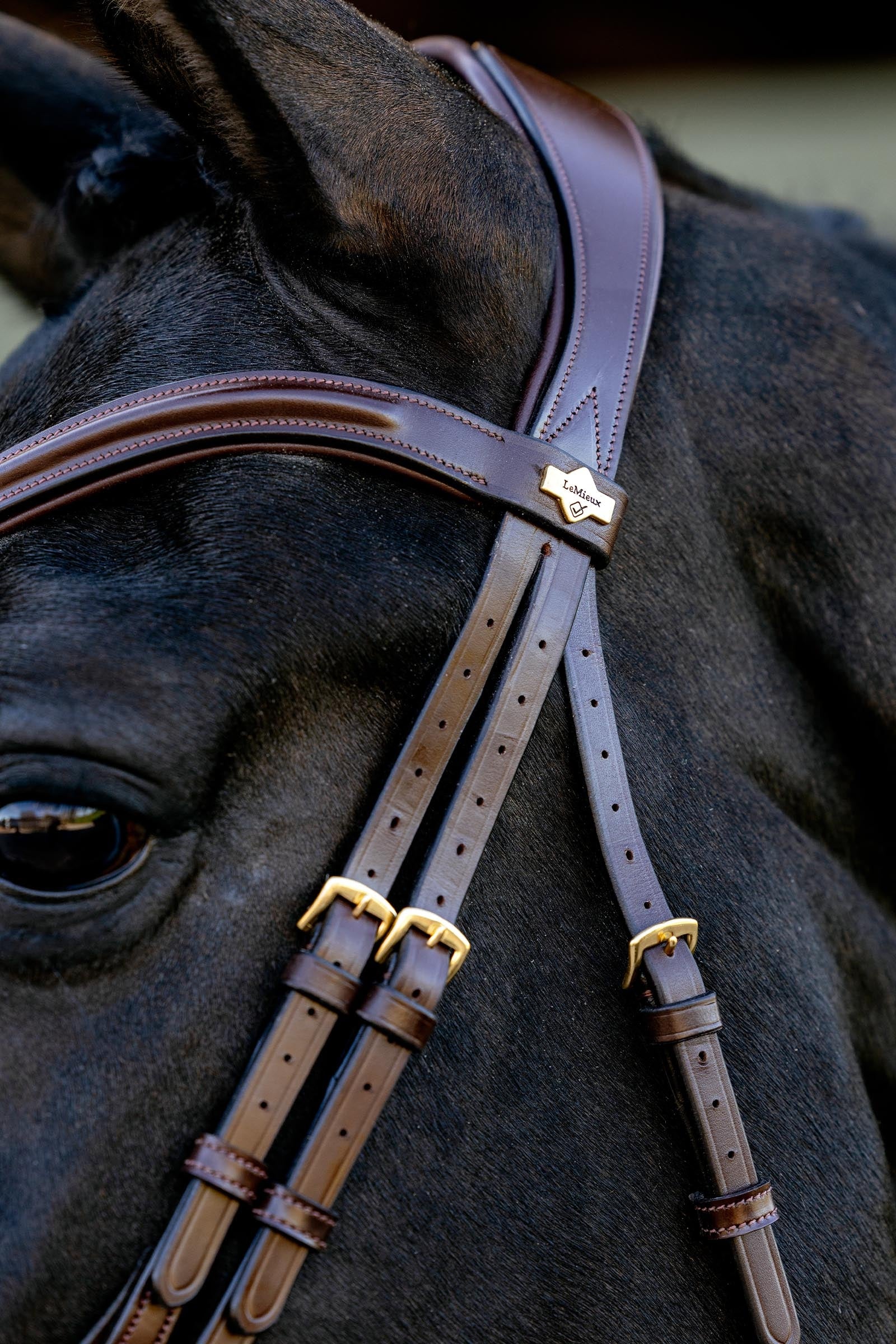 LeMieux Kudos Sport Bridle Bridles & Reins