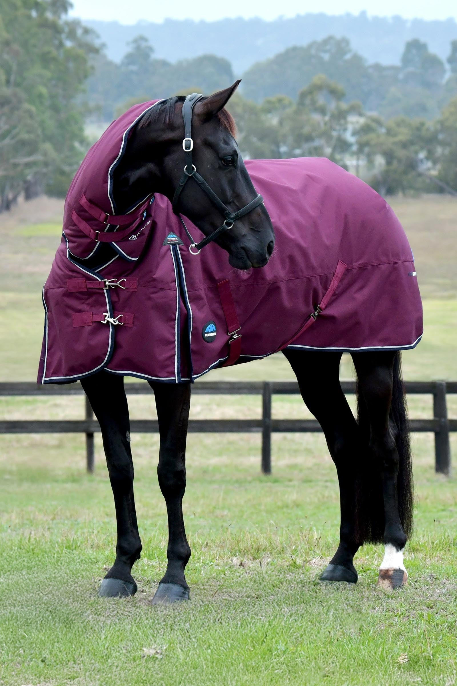 Weatherbeeta Comfitec Essential Turnout Rug Combo 360g Horse Rugs