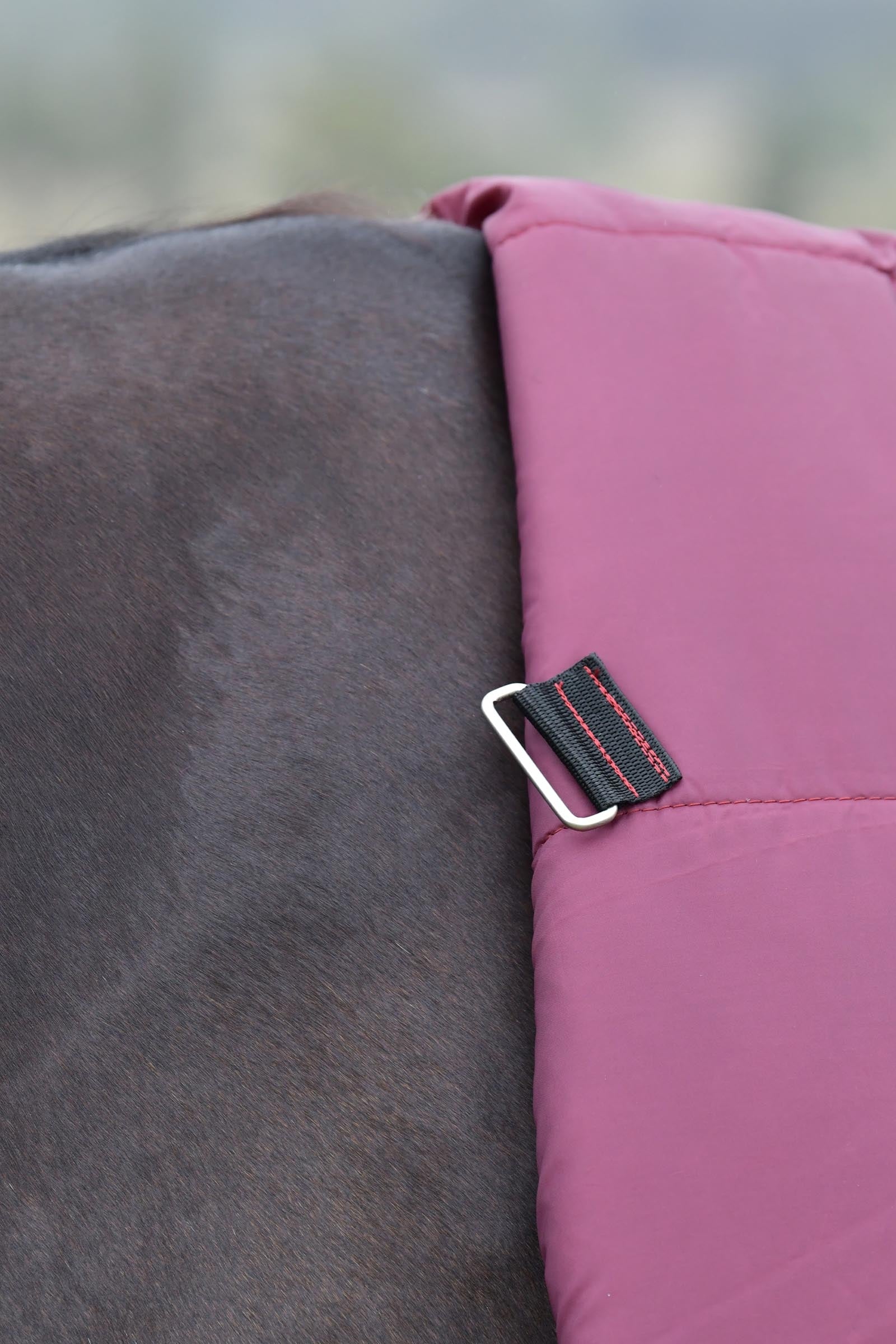 Weatherbeeta Comfitec Essential Turnout Rug Combo 360g Horse Rugs