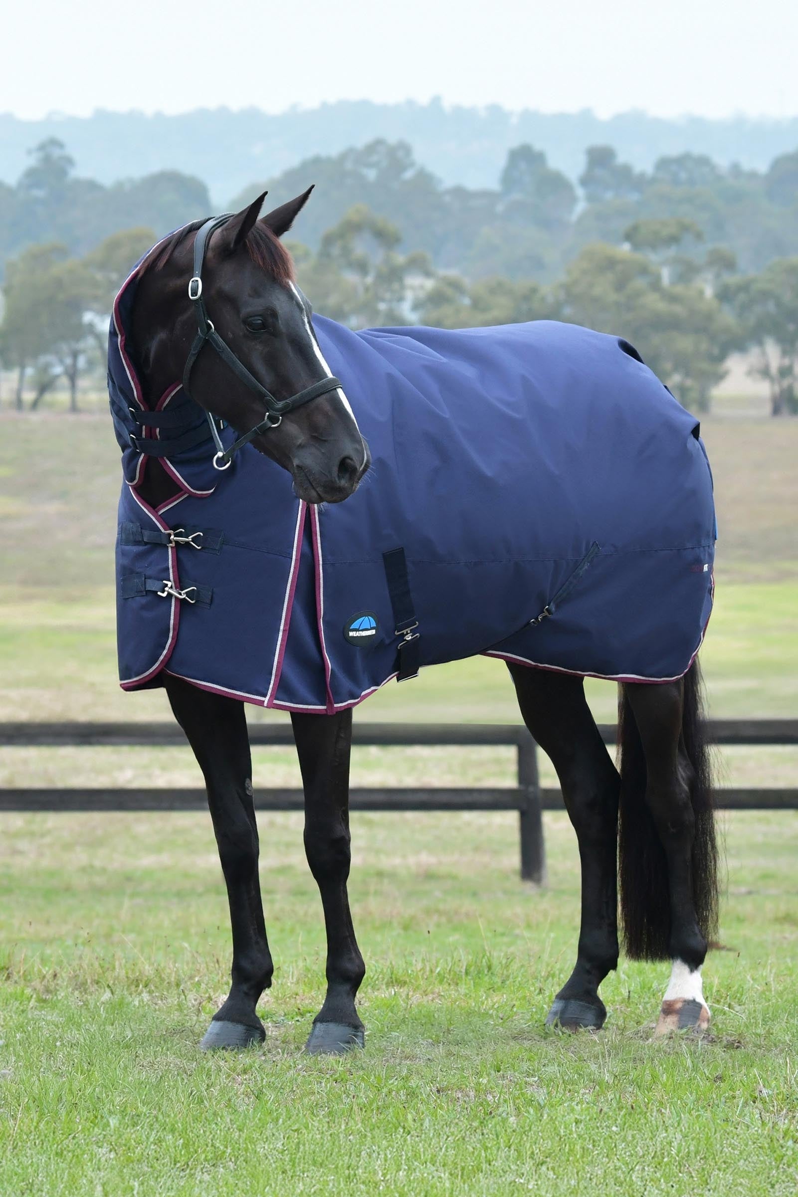 Weatherbeeta Comfitec Essential Turnout Rug Combo 360g Horse Rugs