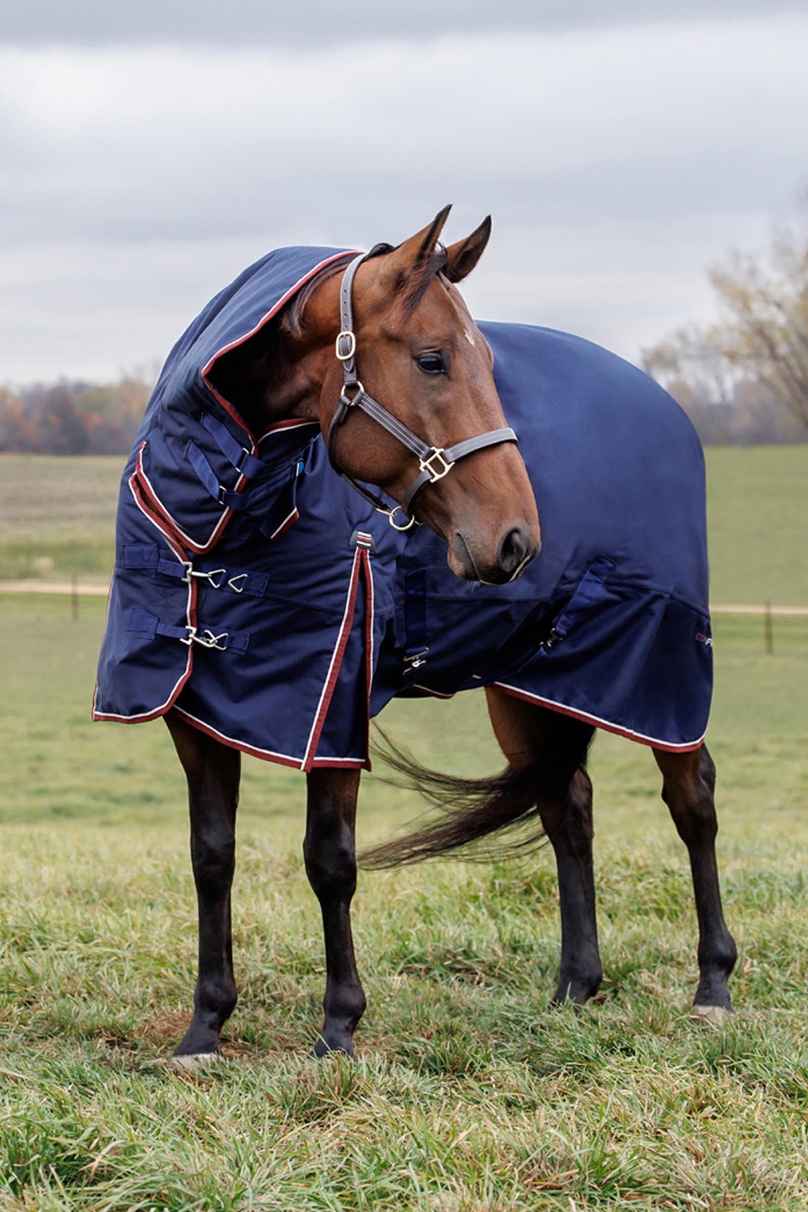 Weatherbeeta Comfitec Essential Turnout Rug Combo 360g Horse Rugs