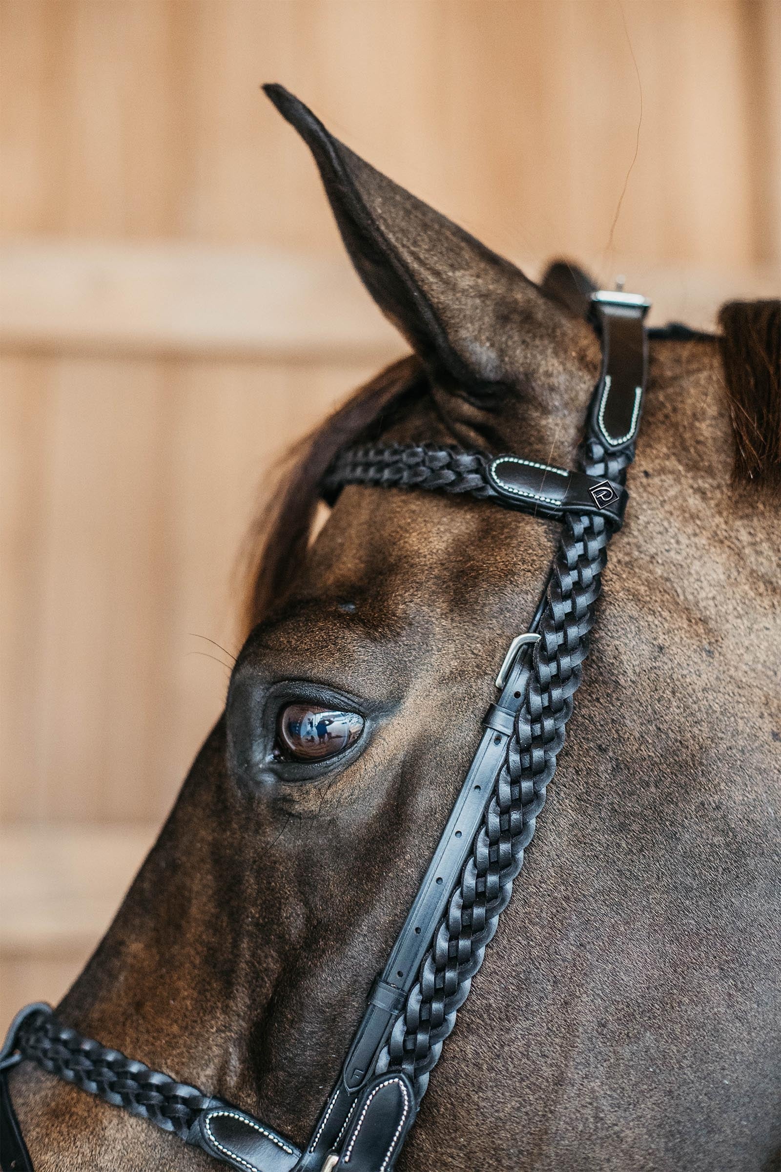 Dy'on Working Plaited Training Bridle Bridles & Reins
