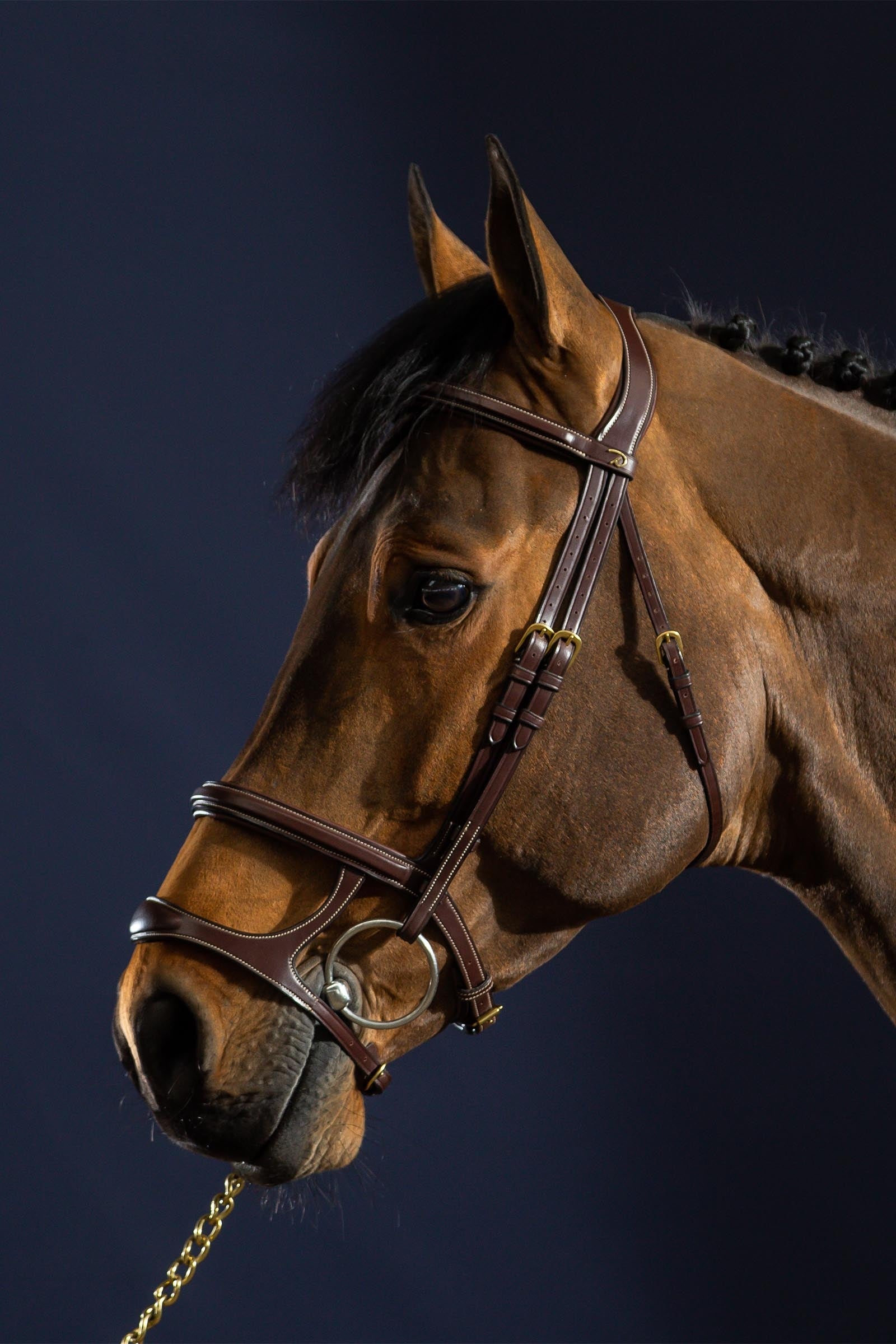 Dy'on D Collection Double Noseband Bridle  Bridles & Reins