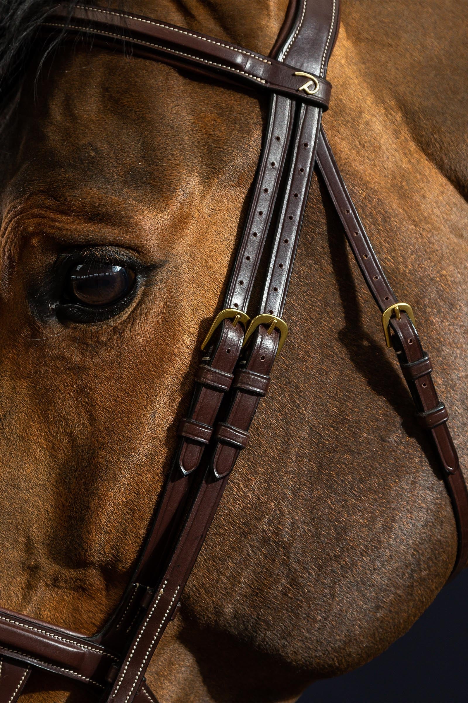 Dy'on D Collection Double Noseband Bridle  Bridles & Reins