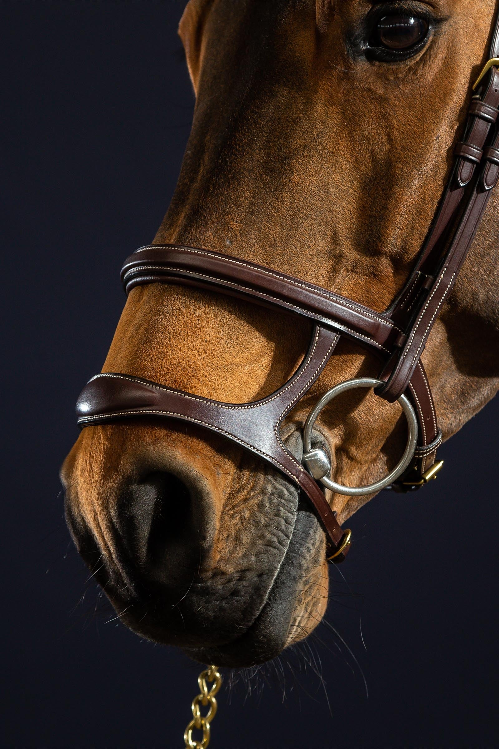 Dy'on D Collection Double Noseband Bridle  Bridles & Reins