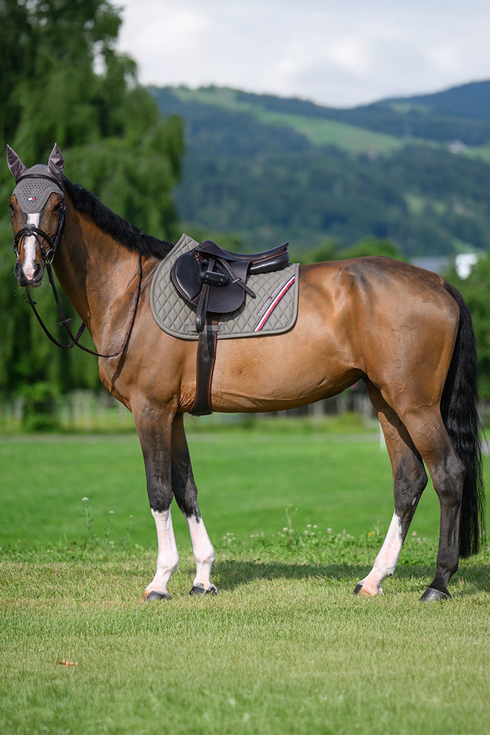 Tommy Hilfiger Equestrian Stanford Jumping Saddlepad Saddle Pads