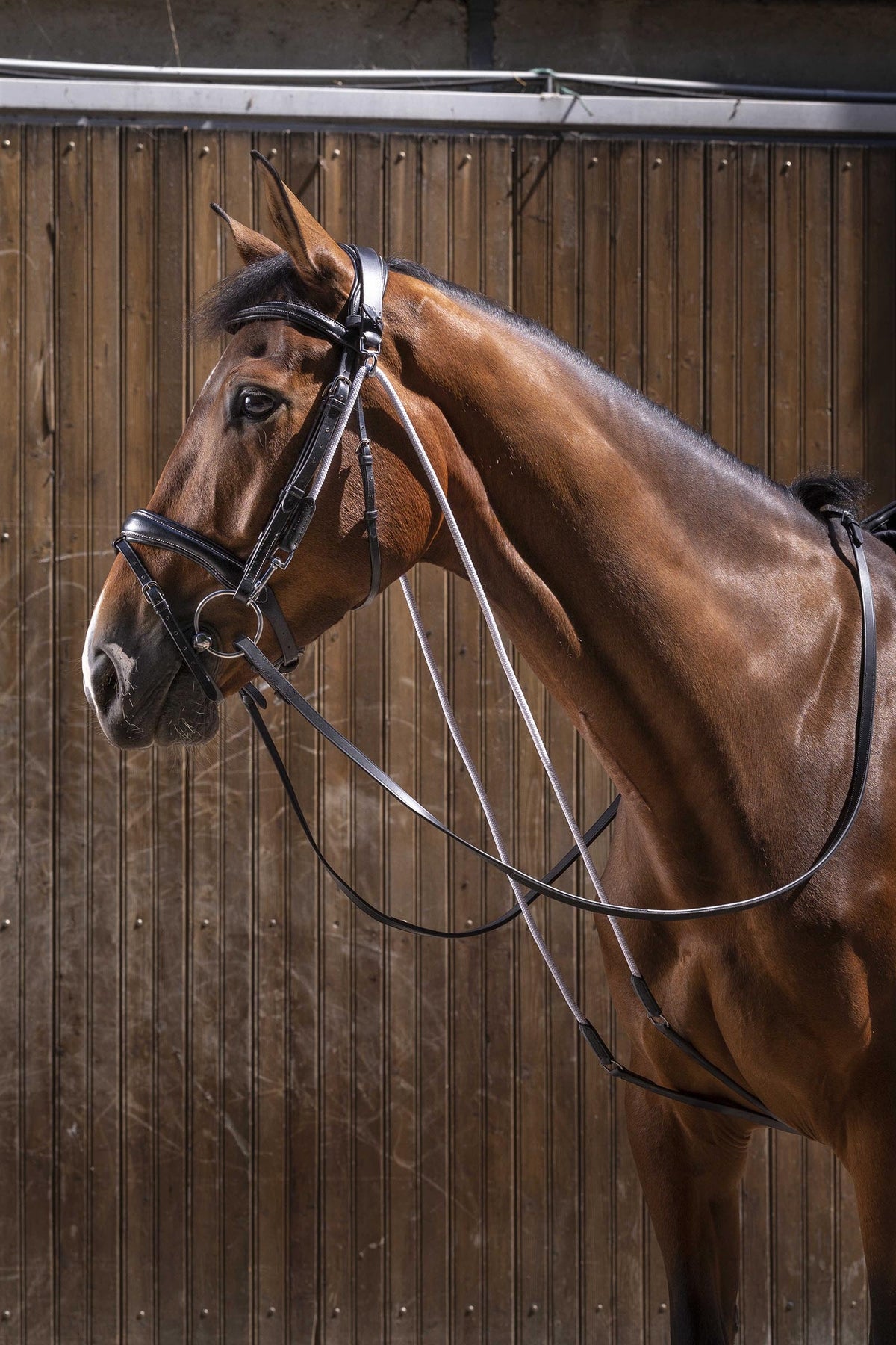 ERIC THOMAS PRO Chambon Bridles & Reins