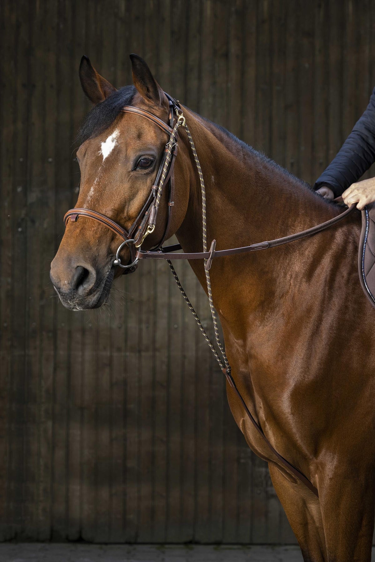 ERIC THOMAS PRO Chambon Bridles & Reins