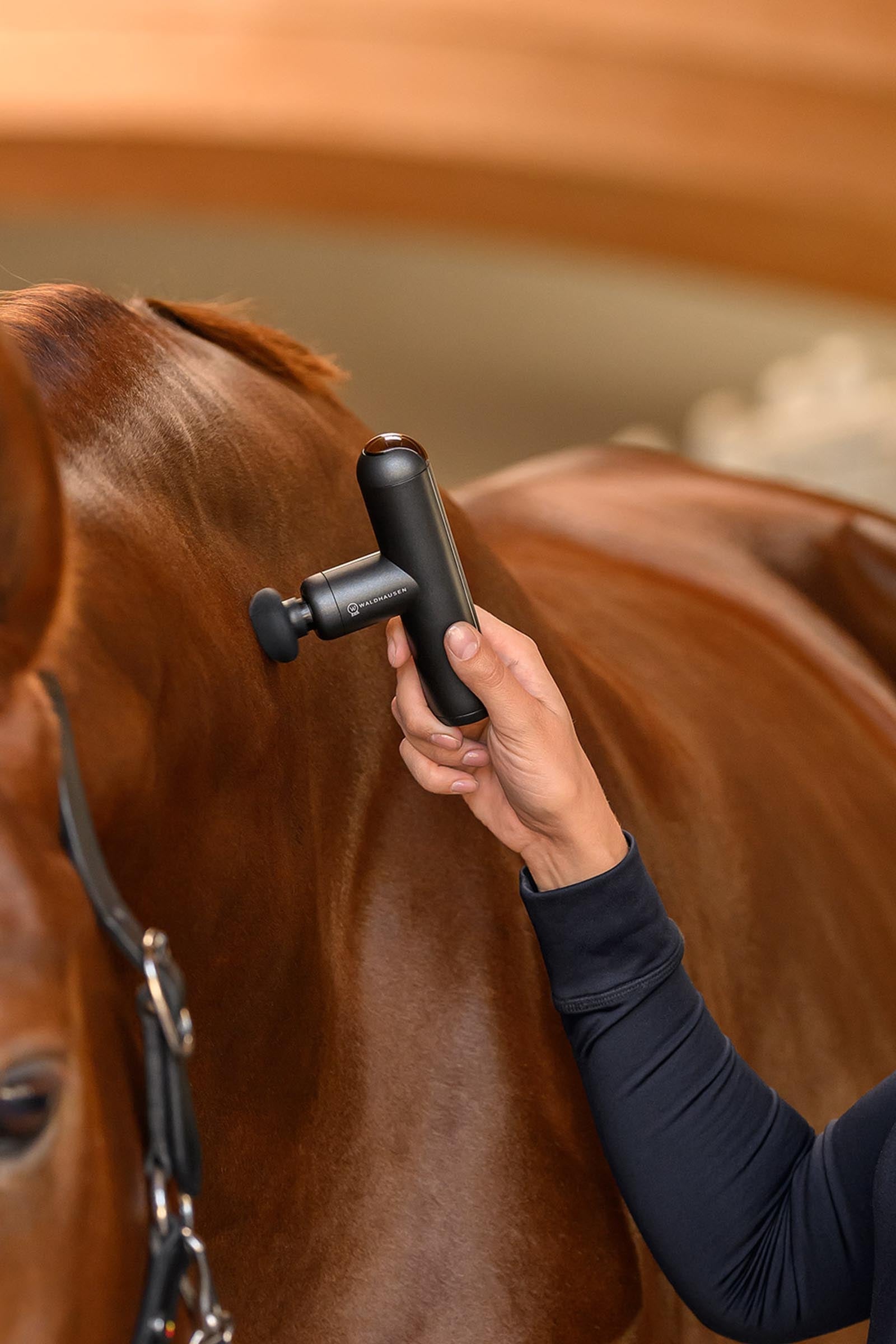 Waldhausen Health + Care Massage Device Pocket Relax Horse Rugs