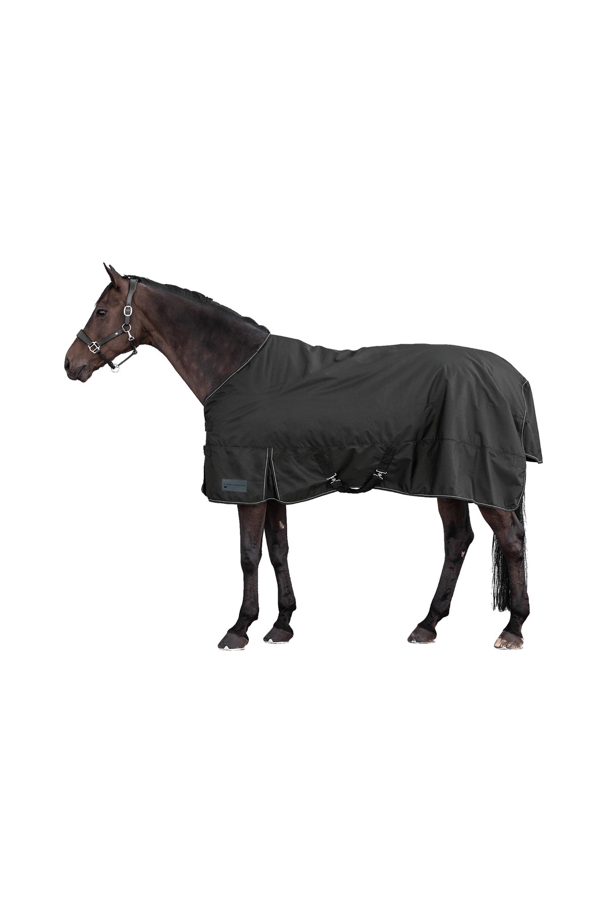 Waldhausen NORDIC Outdoor Rug, 300 g Horse Rugs
