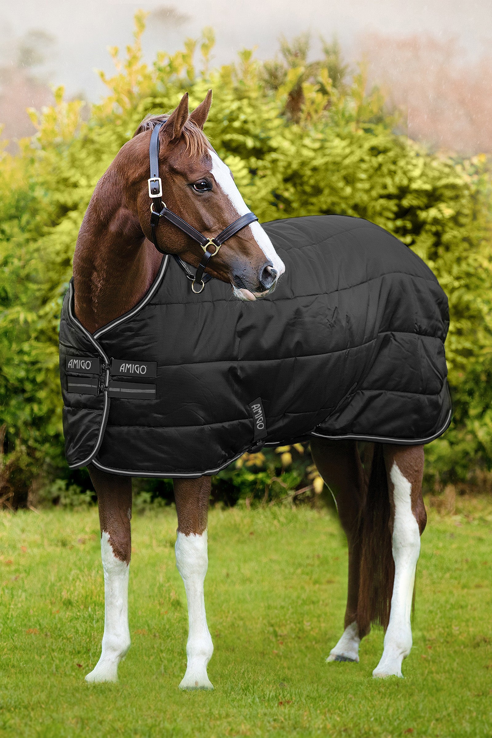 Horseware Amigo Ripstop Insulator stalddækken, 200g Hestedækken