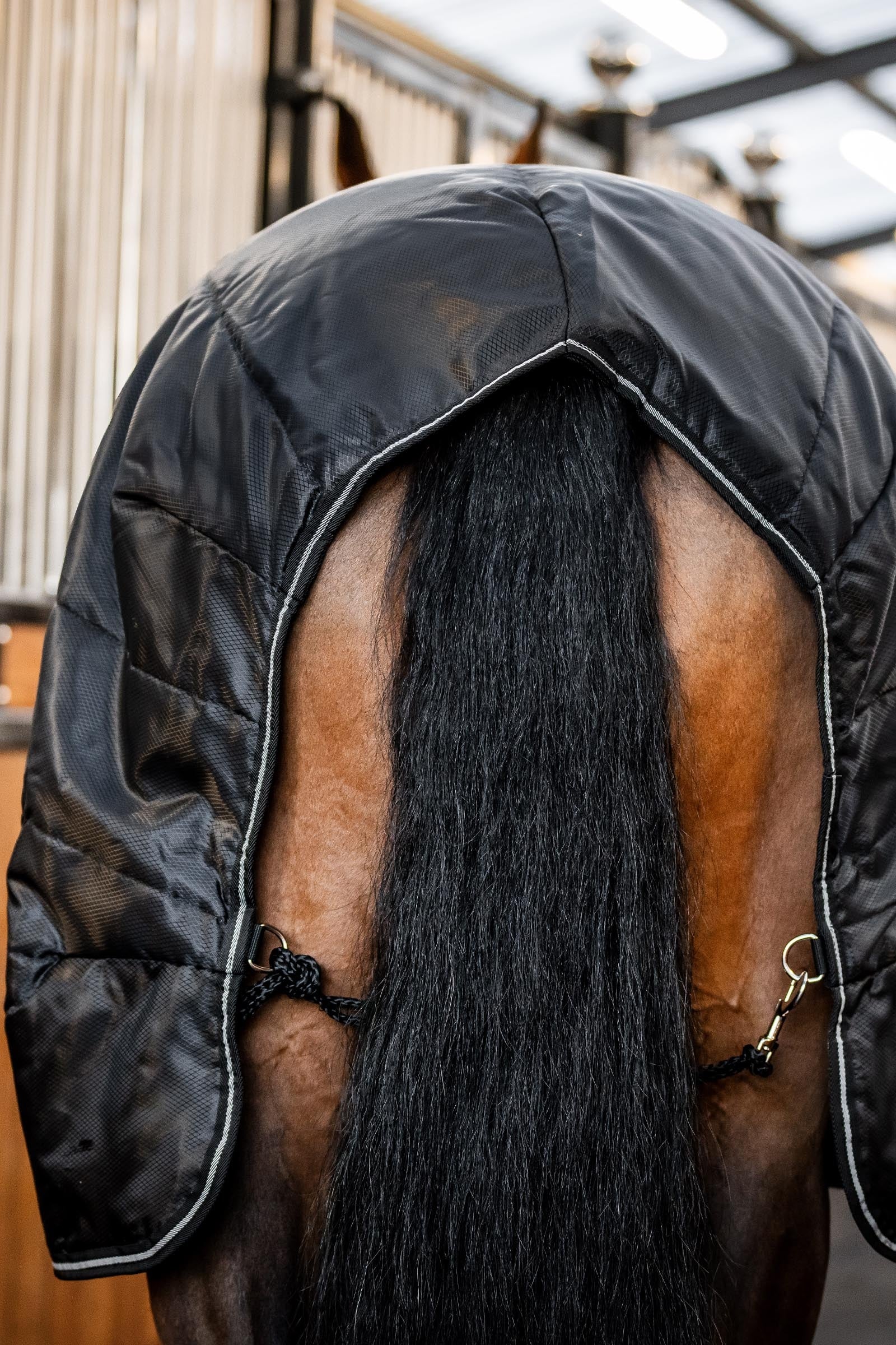 Horseware Amigo Ripstop Insulator Stable Rug, 200g Horse Rugs
