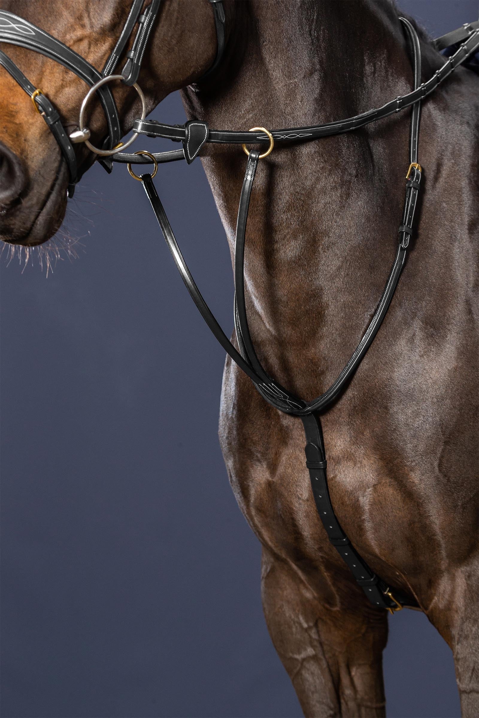 Dy'on D Collection Running Martingale Bridles & Reins