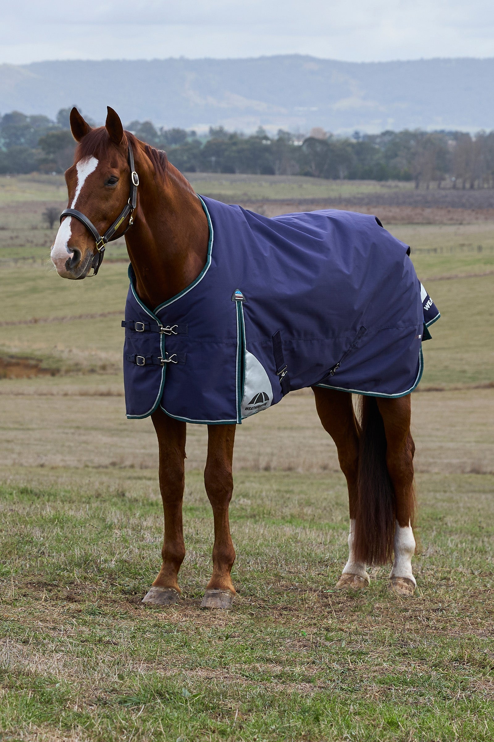 Weatherbeeta ComFiTecPlus Dynamic Turnout Detach-a-Neck, 100 g Hestedækken