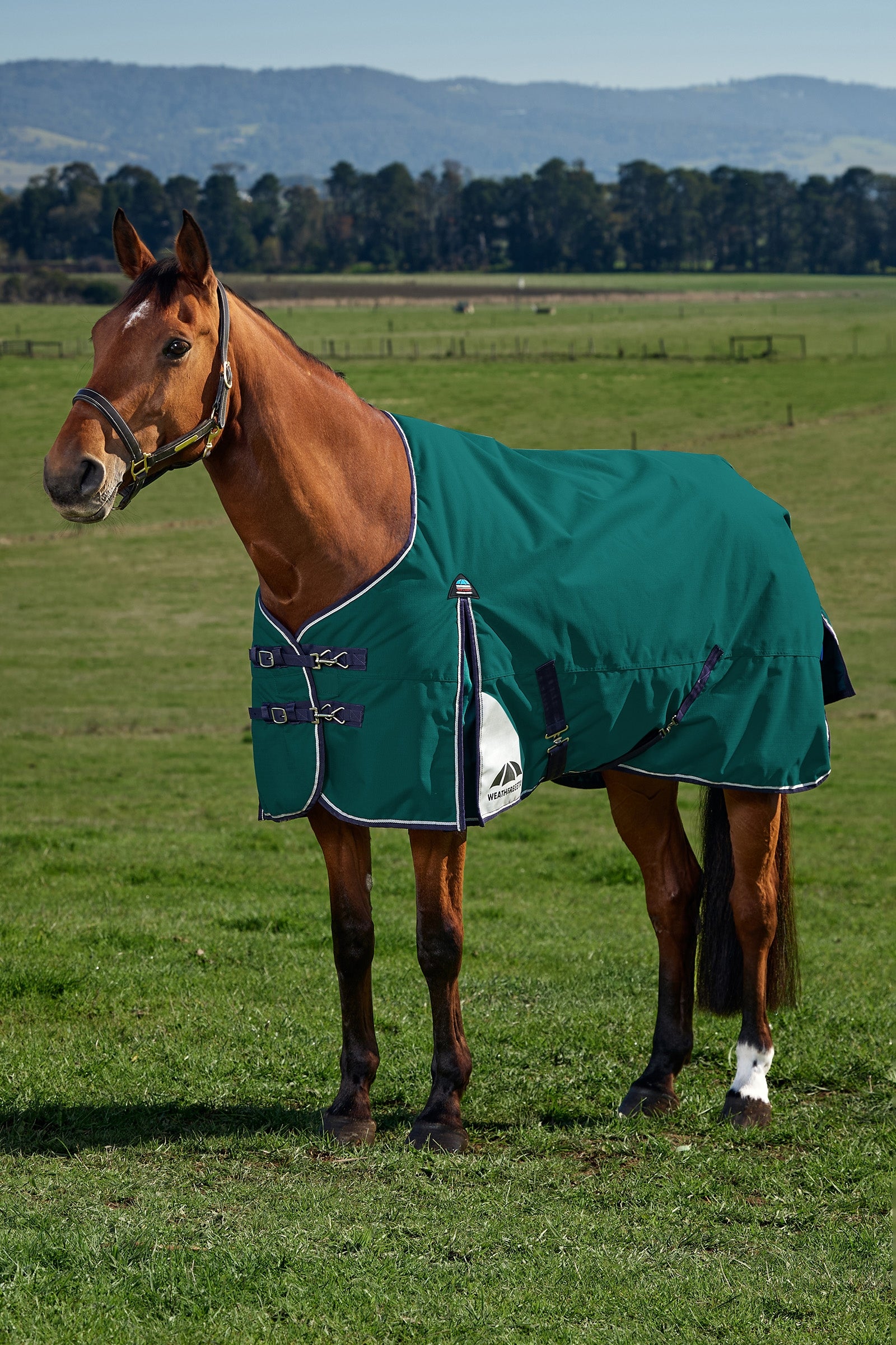 Weatherbeeta ComFiTecPlus Dynamic Turnout Detach-a-Neck, 100 g Hestedækken