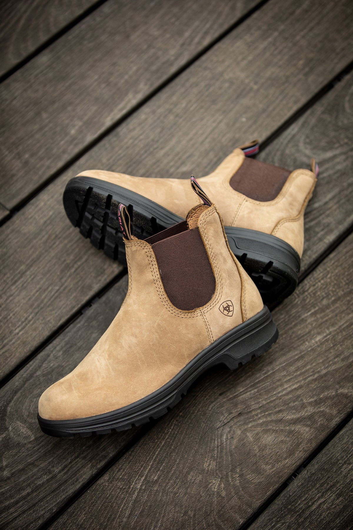 Ariat Women's Cooper Chelsea Boot Riding Boots & Riding Shoes